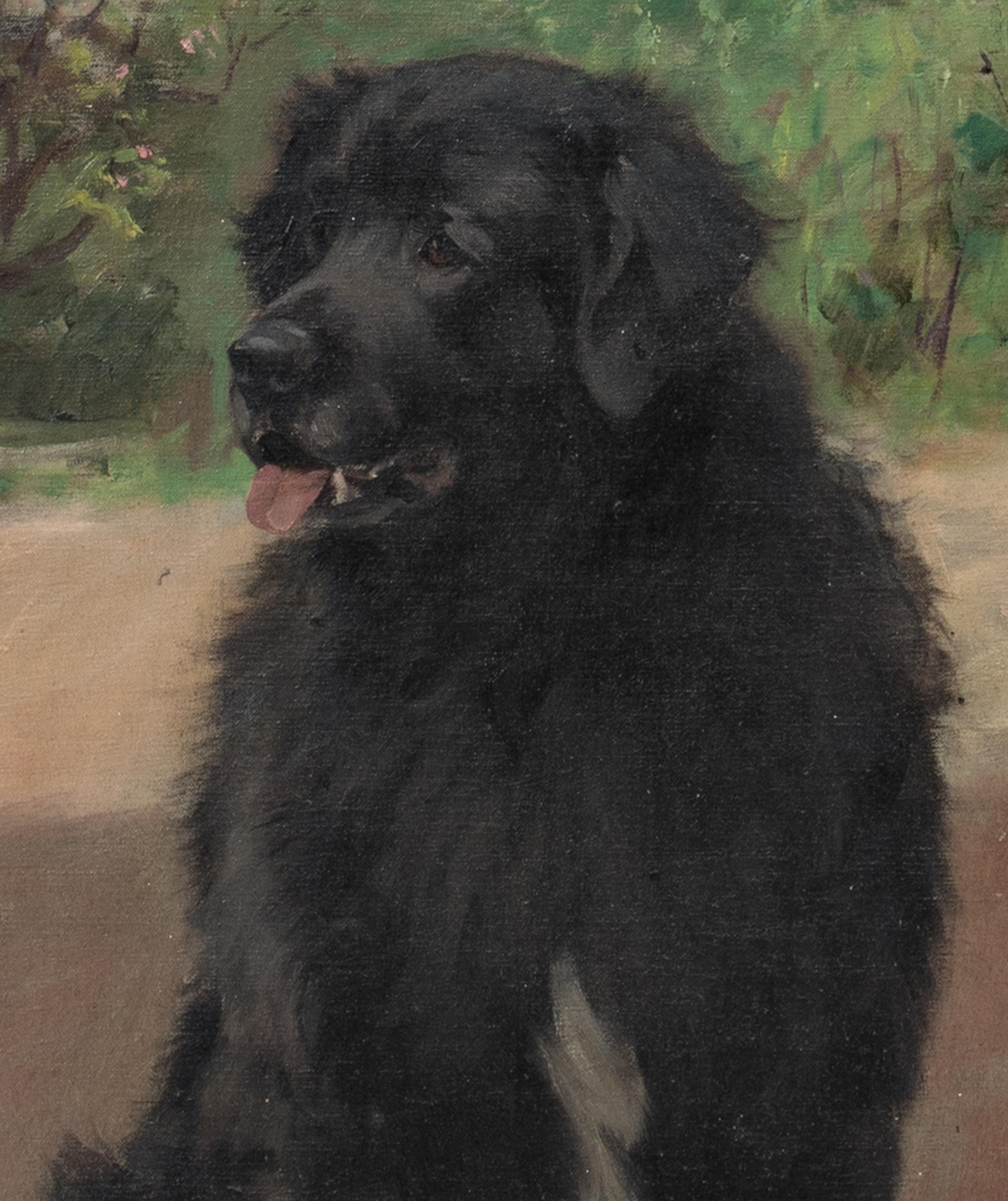 Portrait Of A Scottish Black Retriever, circa 1900  by Robert WATSON   For Sale 3