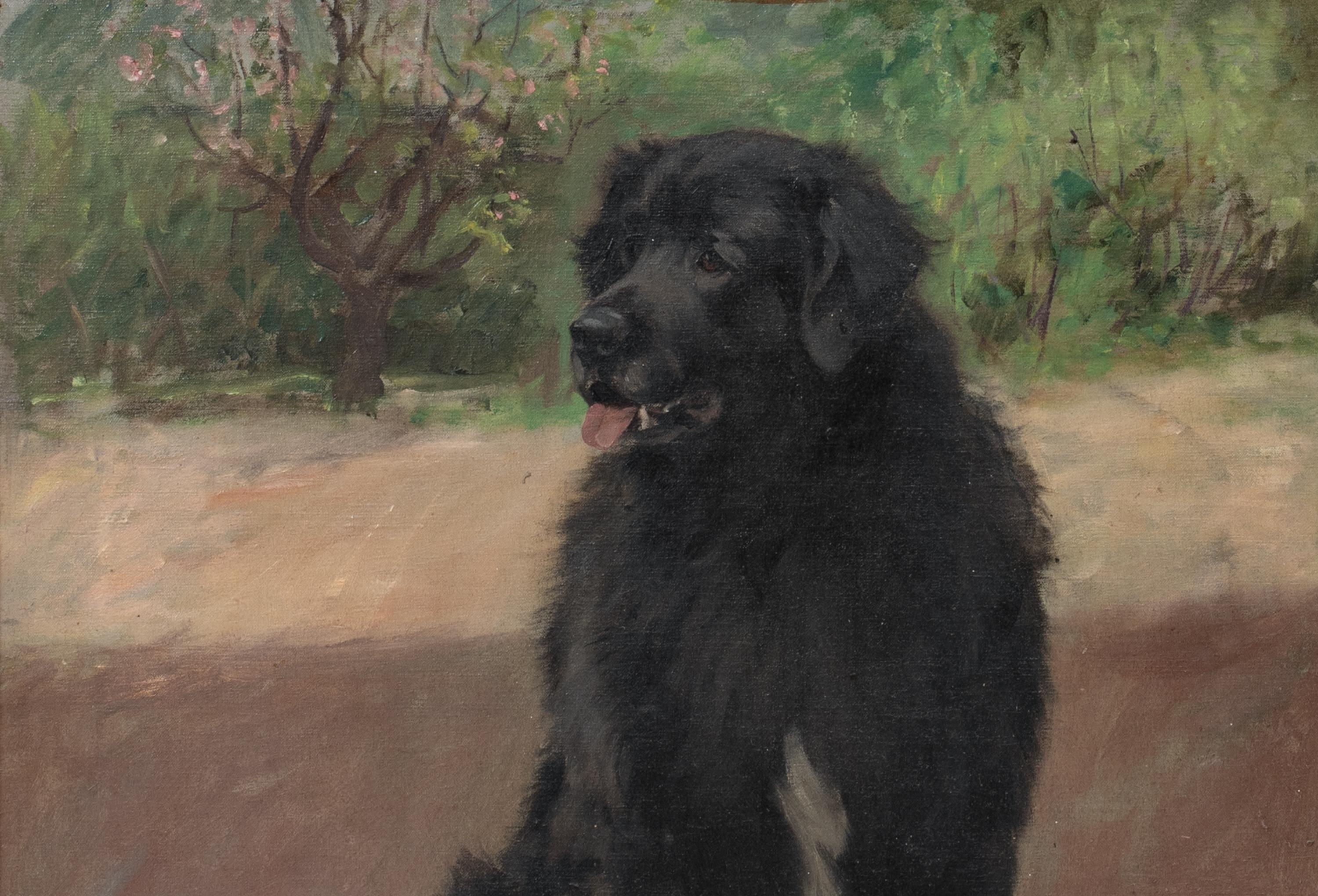 Portrait Of A Scottish Black Retriever, circa 1900  by Robert WATSON For Sale 3
