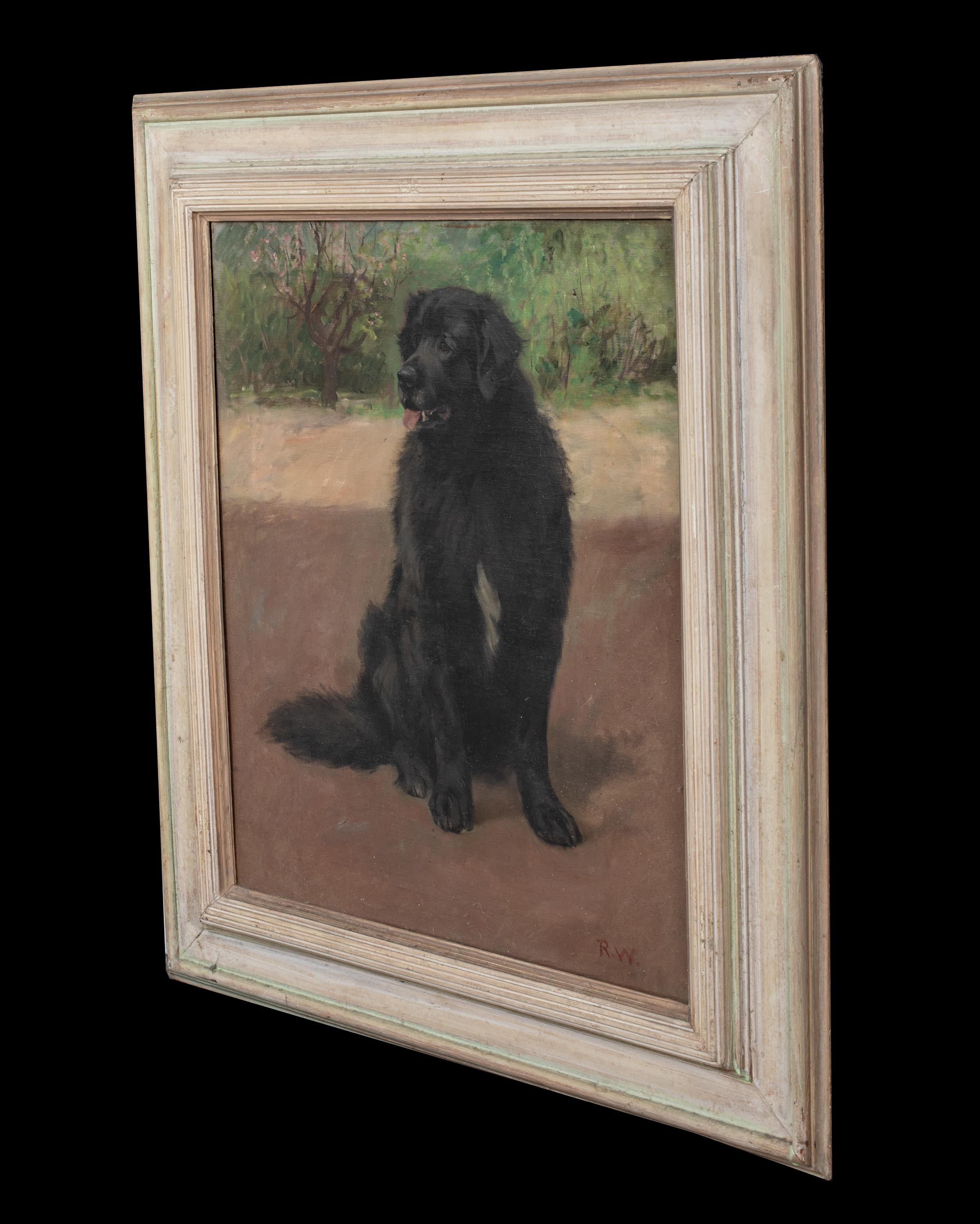 Portrait Of A Scottish Black Retriever, circa 1900  by Robert WATSON For Sale 4