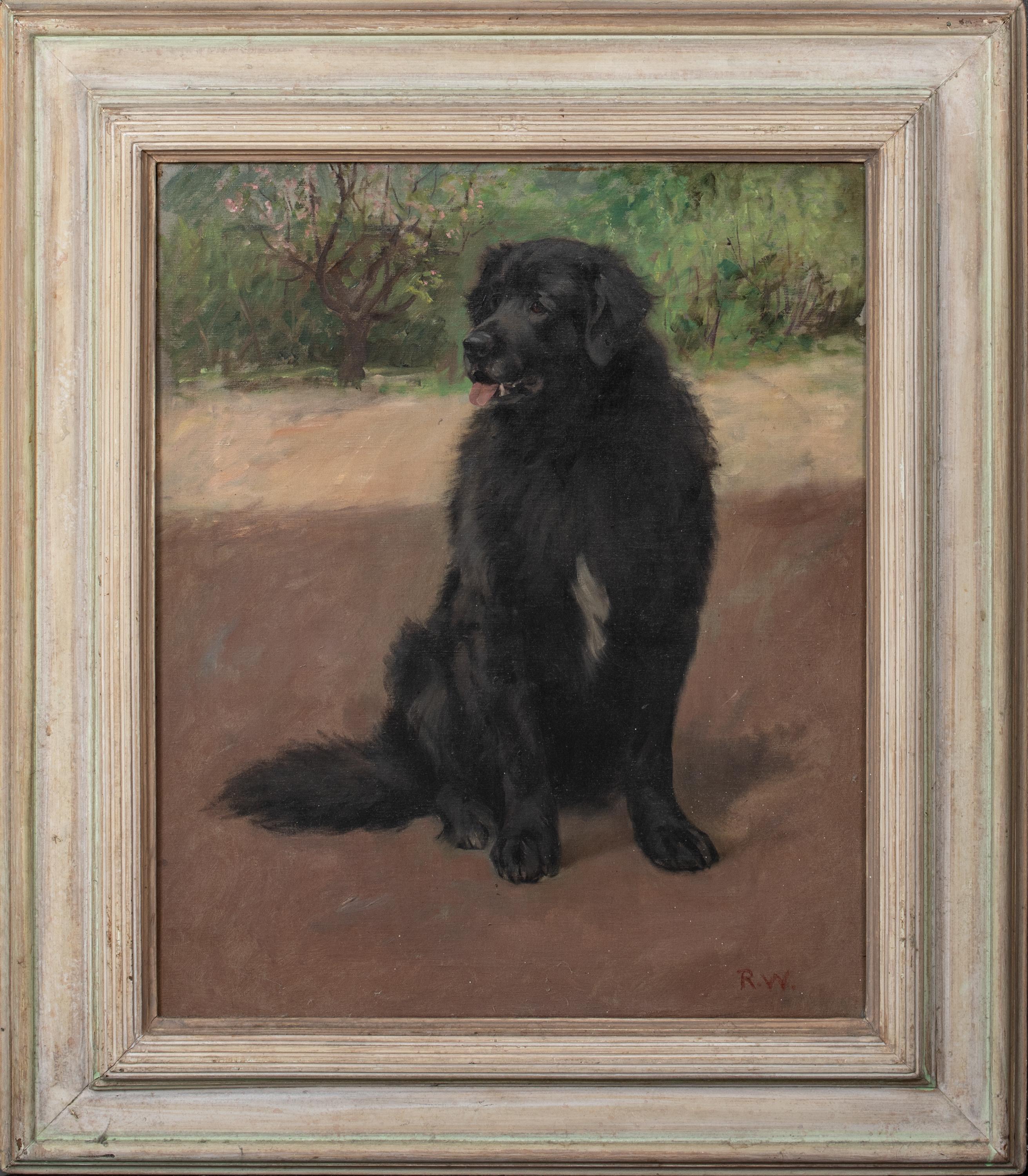 Animal Painting Unknown - Portrait d'un retriever noir écossais, circa 1900 par Robert WATSON