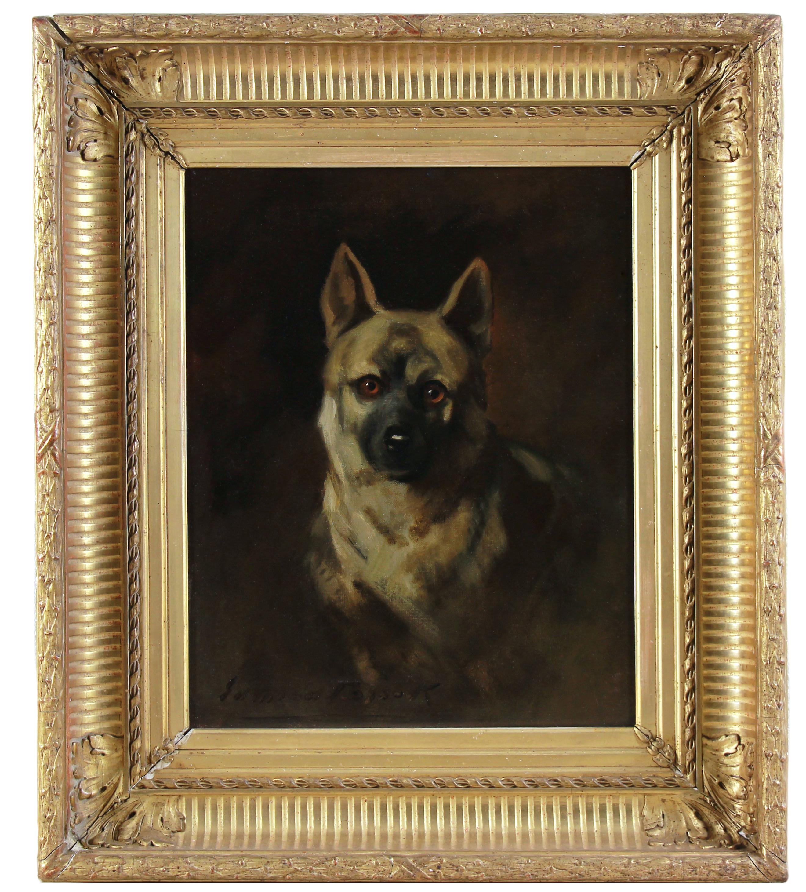 Ritratto di cane da pastore, dipinto a olio su tela all'inizio del XX secolo.