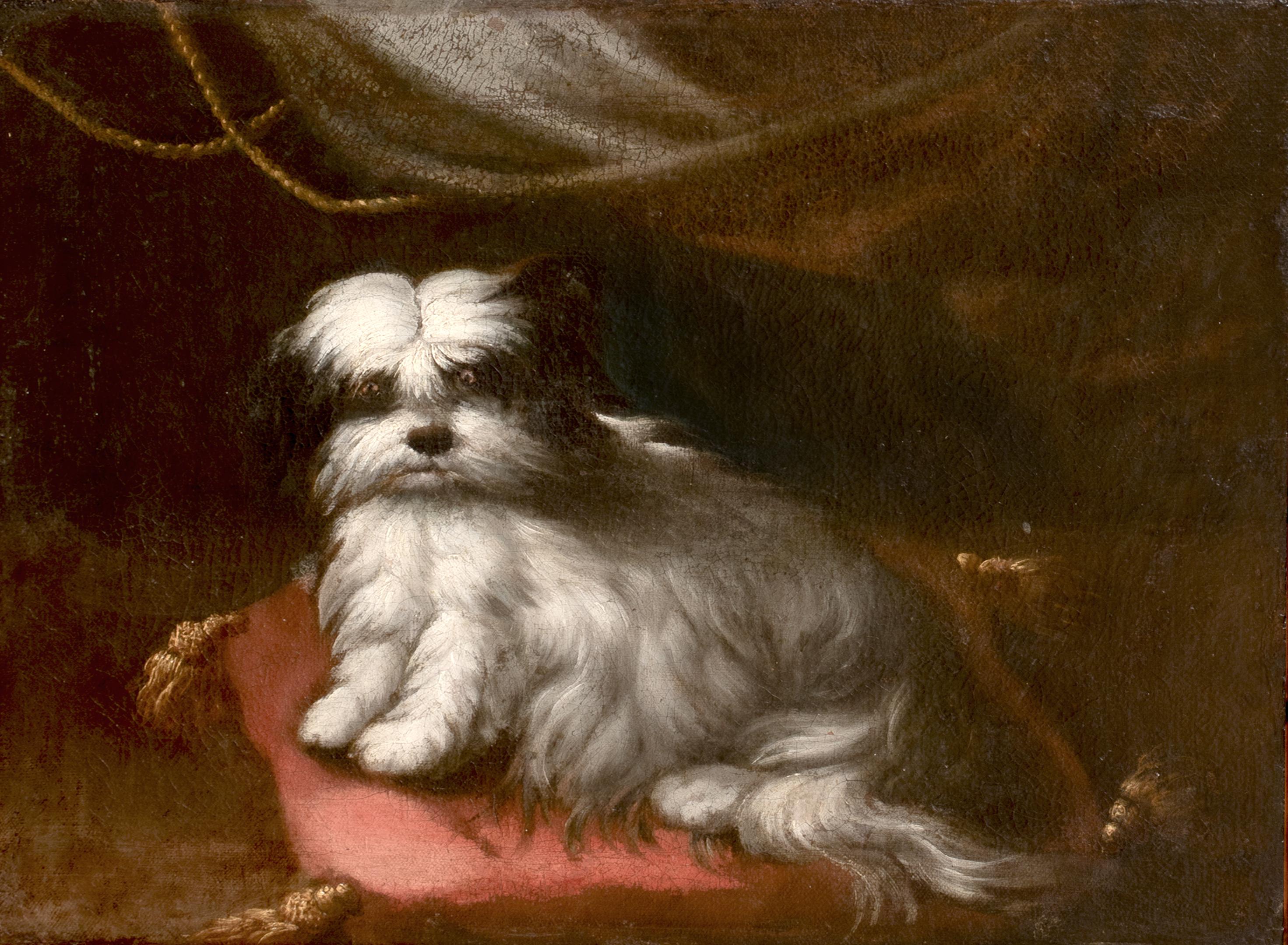 Retrato de perro pequeño, círculo del siglo XVII FRANCESCO FIERAVINO (1611-1656) - Landscape Painting Marrón de Unknown