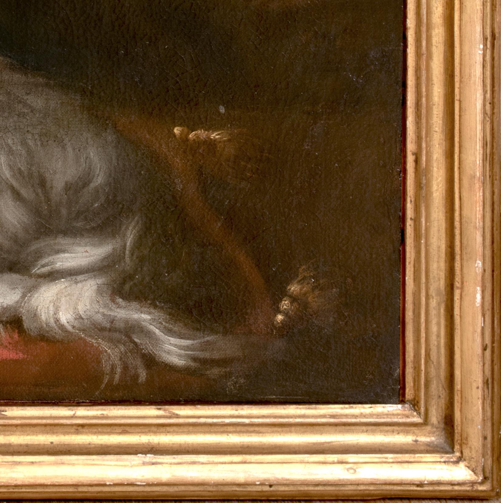 Retrato de un perro pequeño, Siglo XVII / XVIII

círculo de FRANCESCO FIERAVINO (1611-1654)

Retrato de la Escuela Italiana del siglo XVII / XVIII de un pequeño perro descansando sobre un cojín, óleo sobre lienzo. Retrato de perro italiano temprano