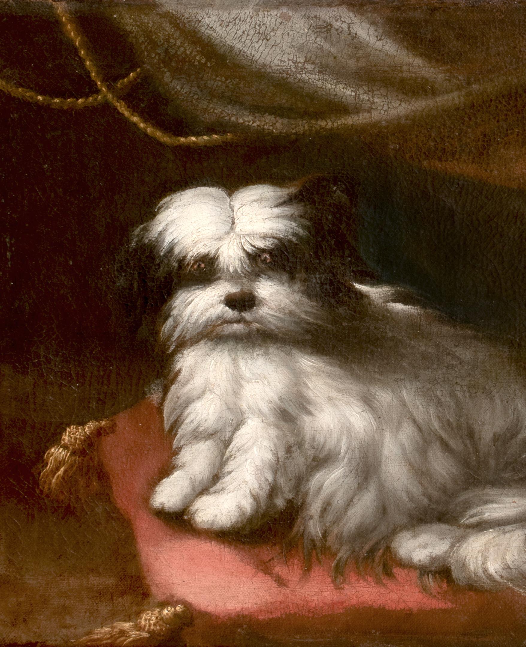 Retrato de perro pequeño, círculo del siglo XVII FRANCESCO FIERAVINO (1611-1656) 2