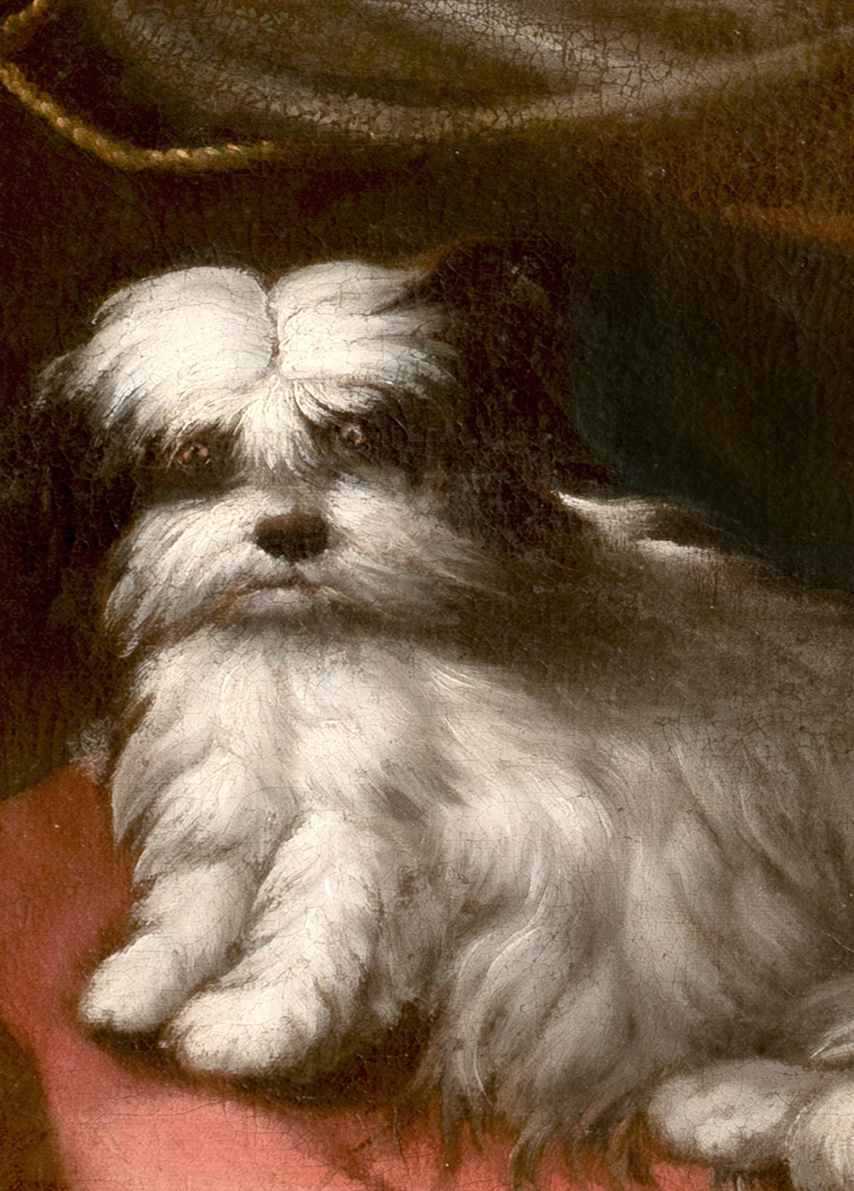 Retrato de perro pequeño, círculo del siglo XVII FRANCESCO FIERAVINO (1611-1656) 3