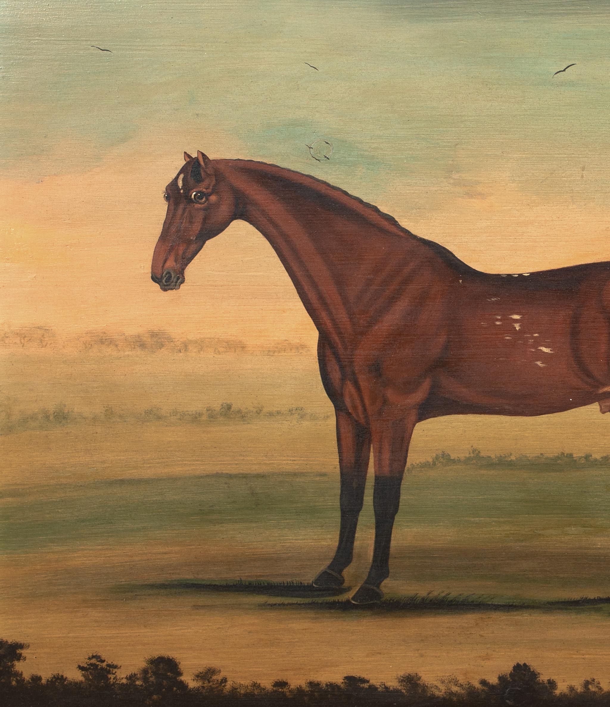 Porträt eines Stallions, New York, 18. Jahrhundert  von William Williams (1727-1791) im Angebot 6