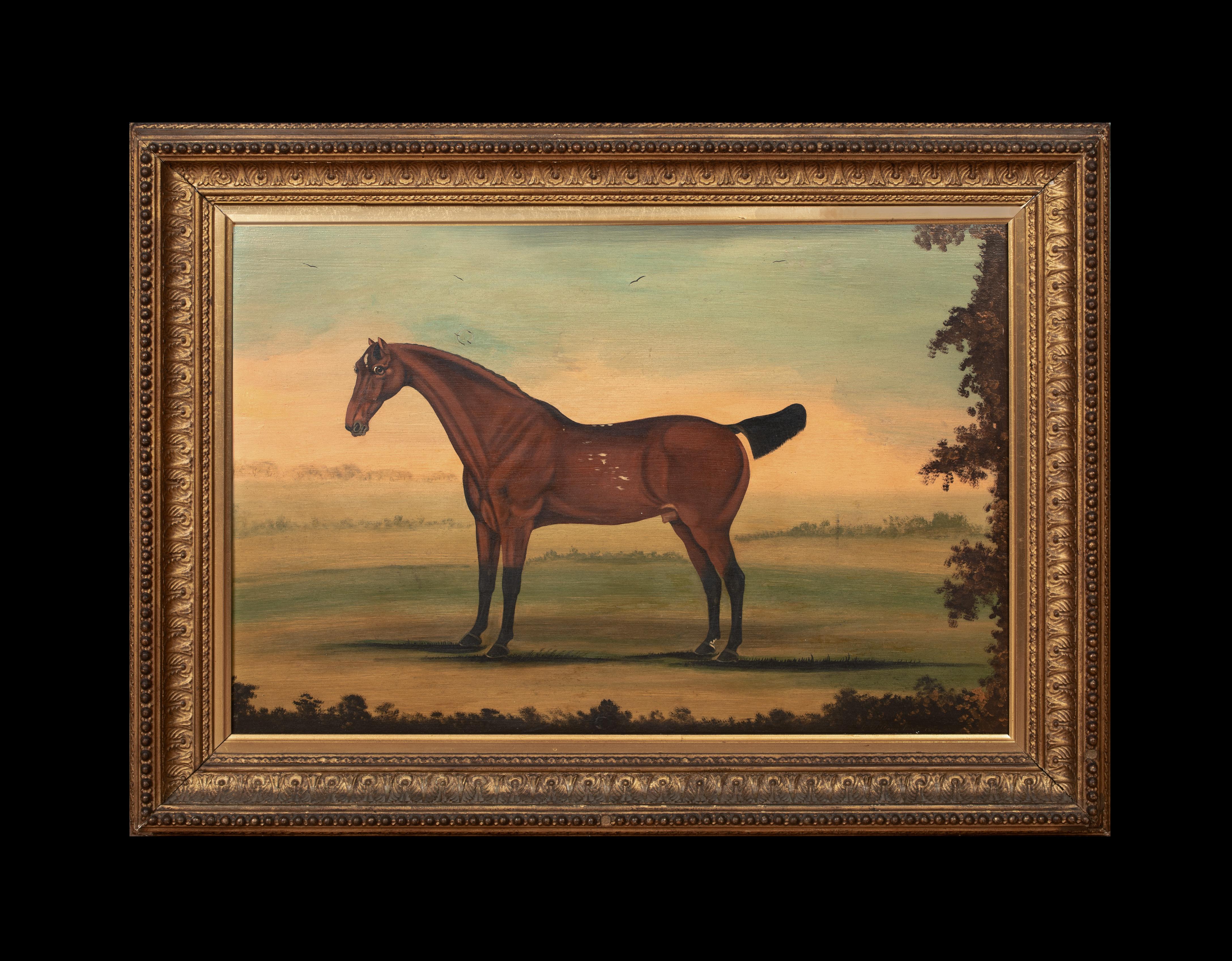 Porträt eines Stallions, New York, 18. Jahrhundert  von William Williams (1727-1791) – Painting von Unknown