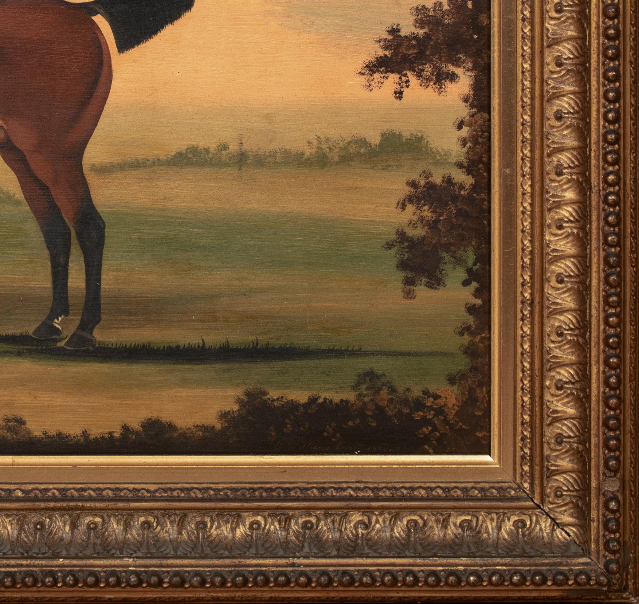 Porträt eines Hengstes, 18. Jahrhundert

von William Williams (1727-1791) Verkauf für 60.000 $

Großes, um 1770 entstandenes Porträt eines Rennpferdhengstes in offener Landschaft, Öl auf Tafel von William Williams. Frühes und wichtiges
