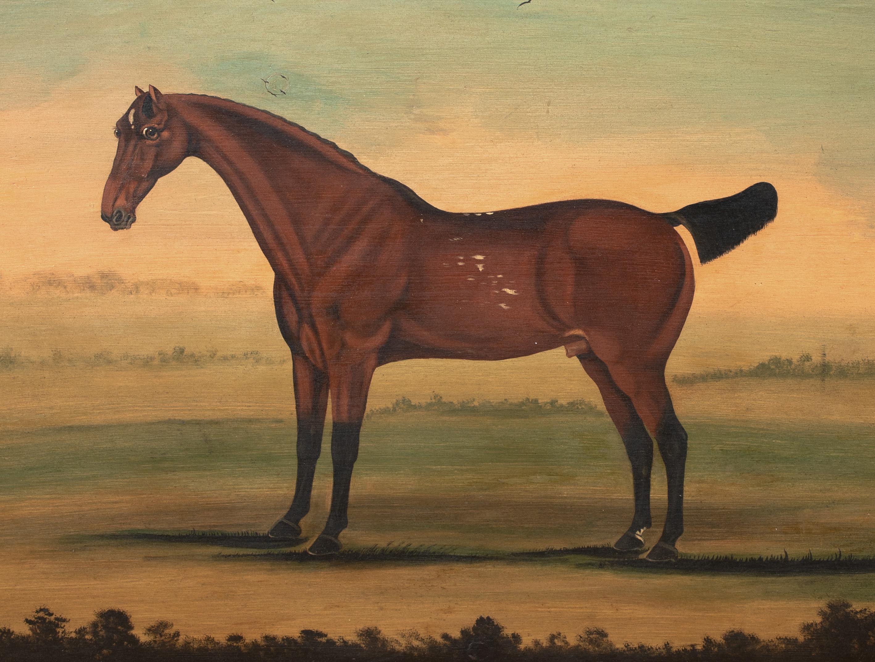 Porträt eines Stallions, New York, 18. Jahrhundert  von William Williams (1727-1791) im Angebot 1