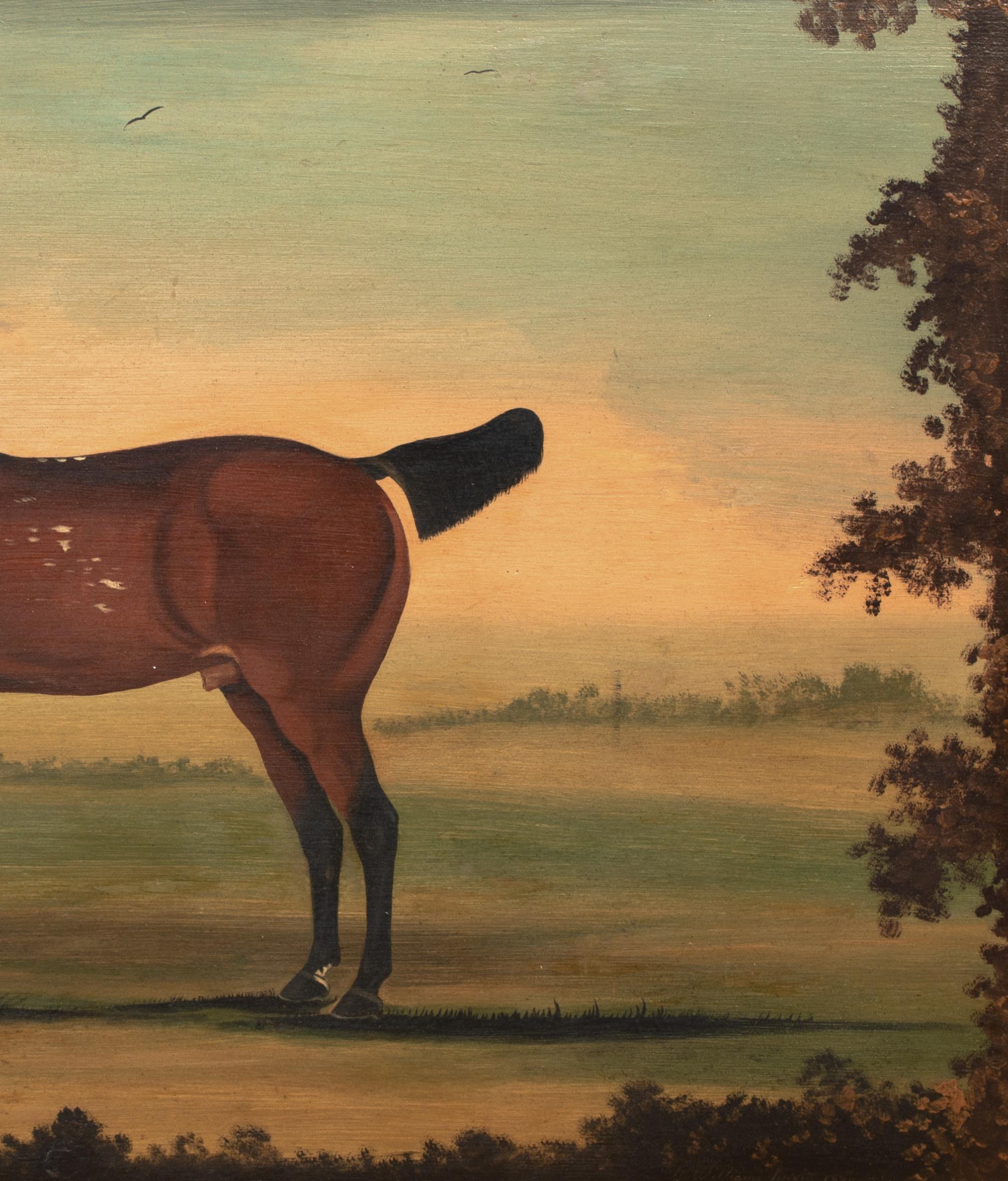 Porträt eines Stallions, New York, 18. Jahrhundert  von William Williams (1727-1791) im Angebot 2