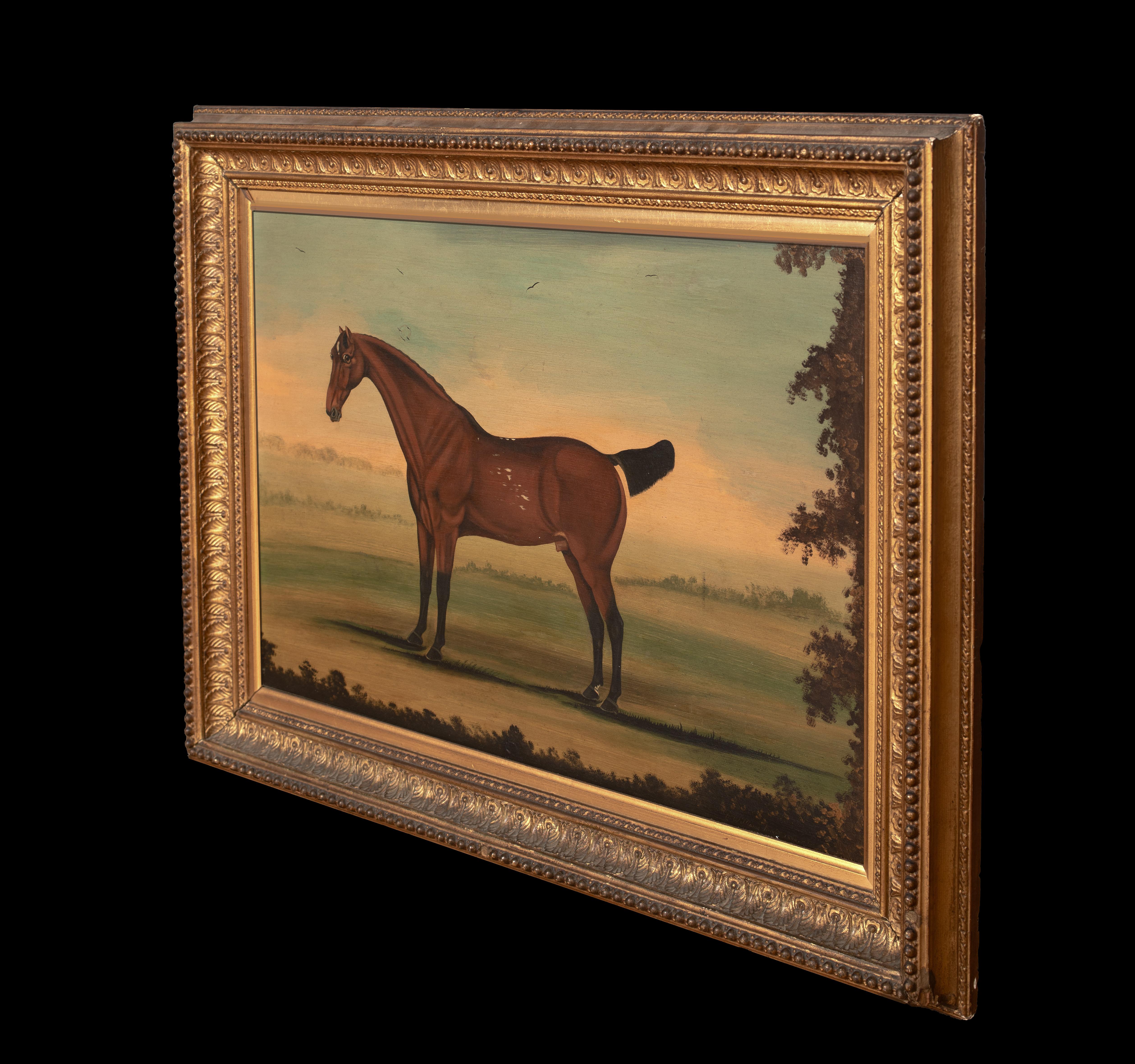 Porträt eines Stallions, New York, 18. Jahrhundert  von William Williams (1727-1791) im Angebot 4