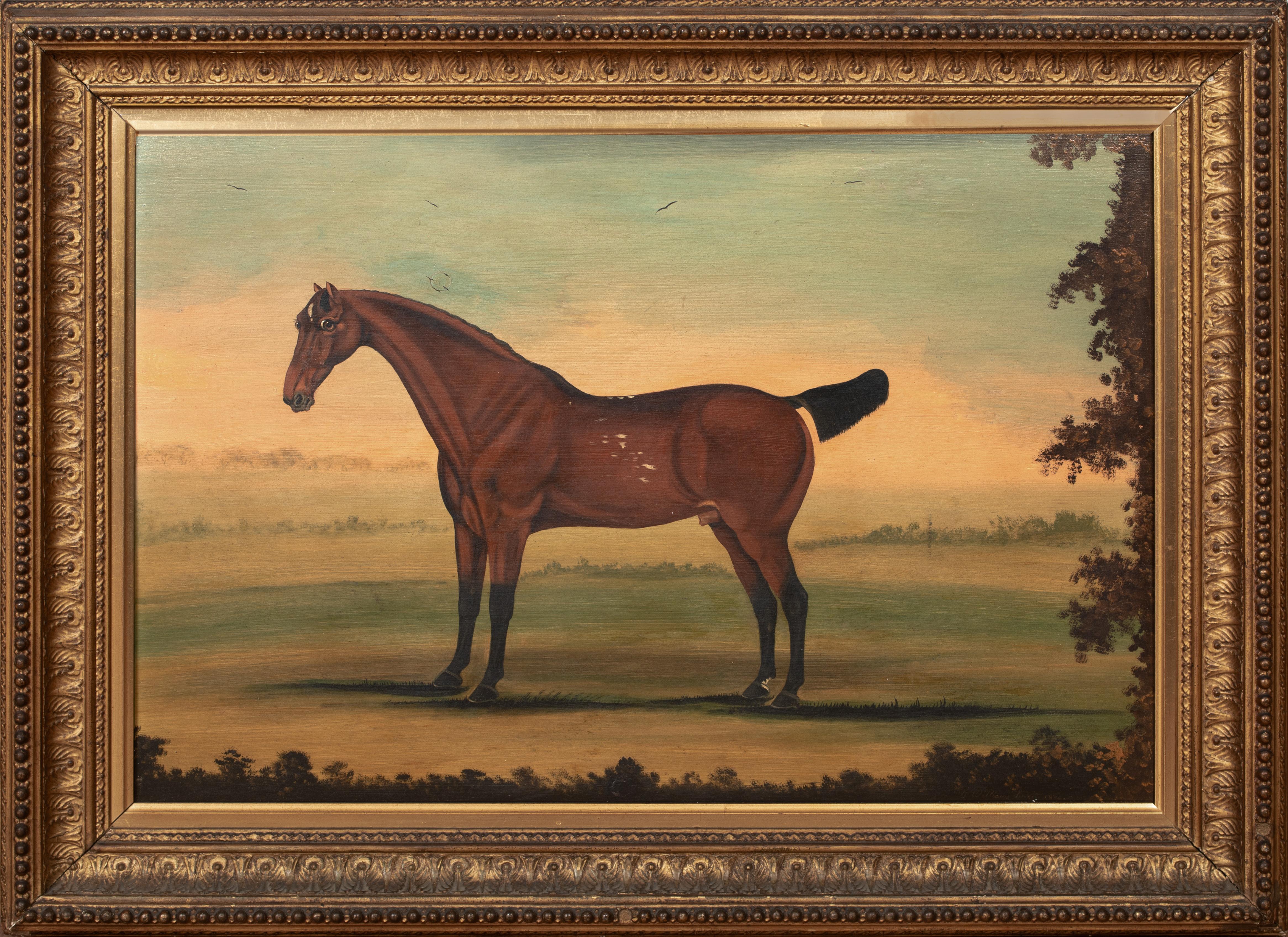 Unknown Animal Painting – Porträt eines Stallions, New York, 18. Jahrhundert  von William Williams (1727-1791)