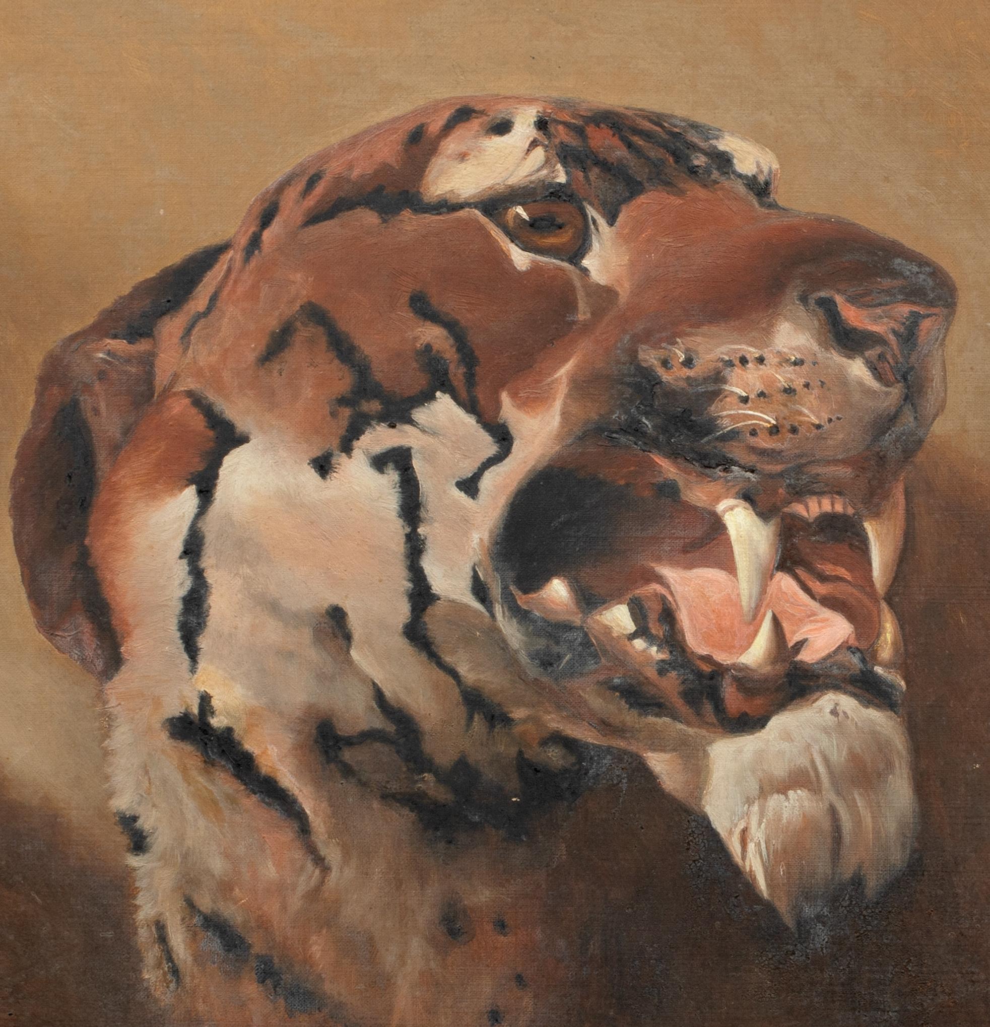 Portrait of a Tiger, 19th century  signed J T B, dated 1896 - Brown Animal Painting by Unknown