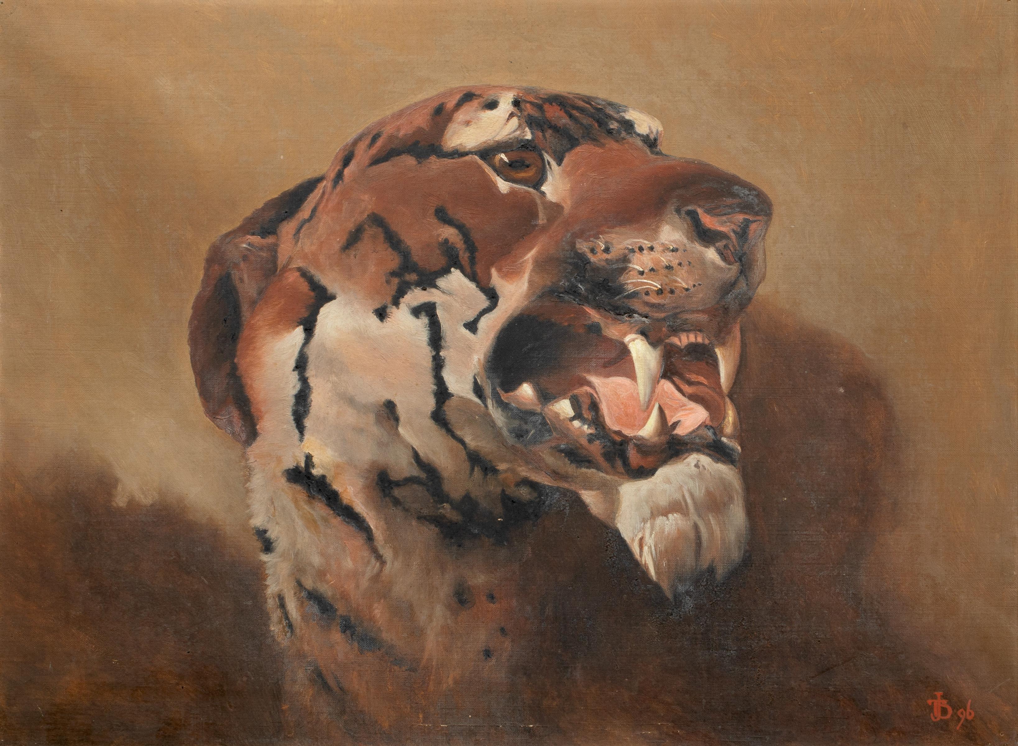 Unknown Animal Painting - Portrait of a Tiger, 19th century  signed J T B, dated 1896