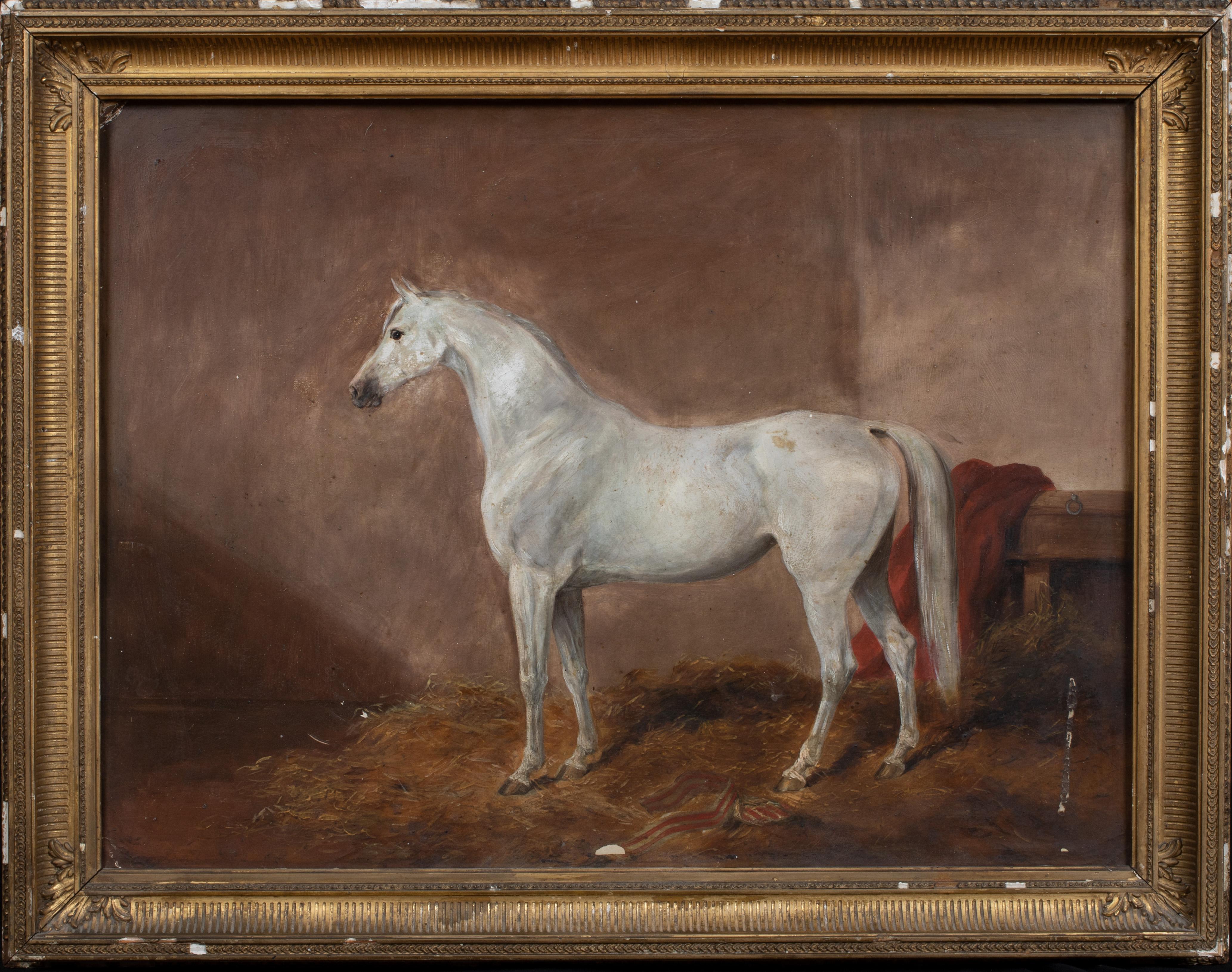 Portrait d'un cheval blanc dans une boîte, 19ème siècle - Painting de Unknown