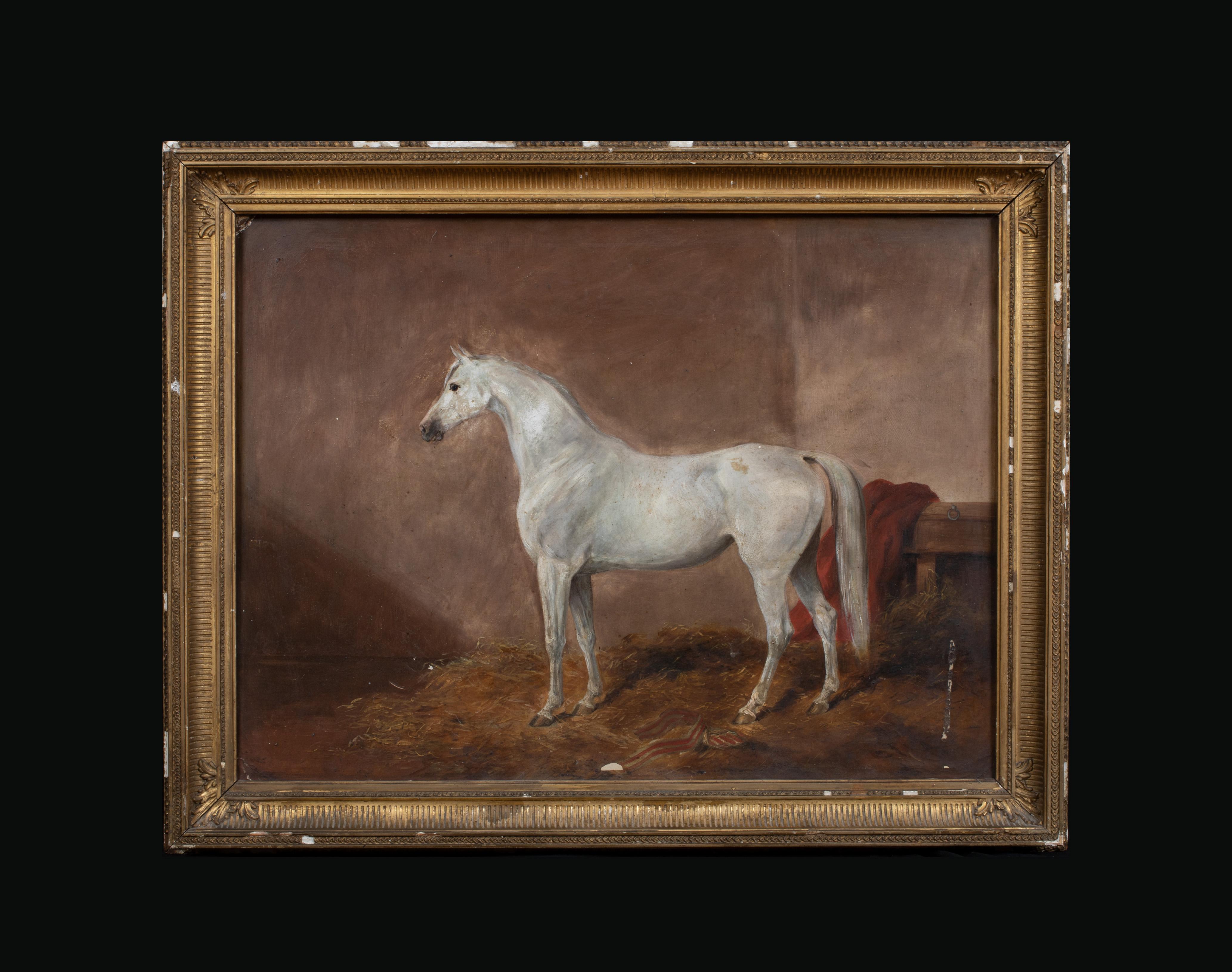 Portrait d'un cheval blanc dans une boîte, 19ème siècle - Marron Portrait Painting par Unknown