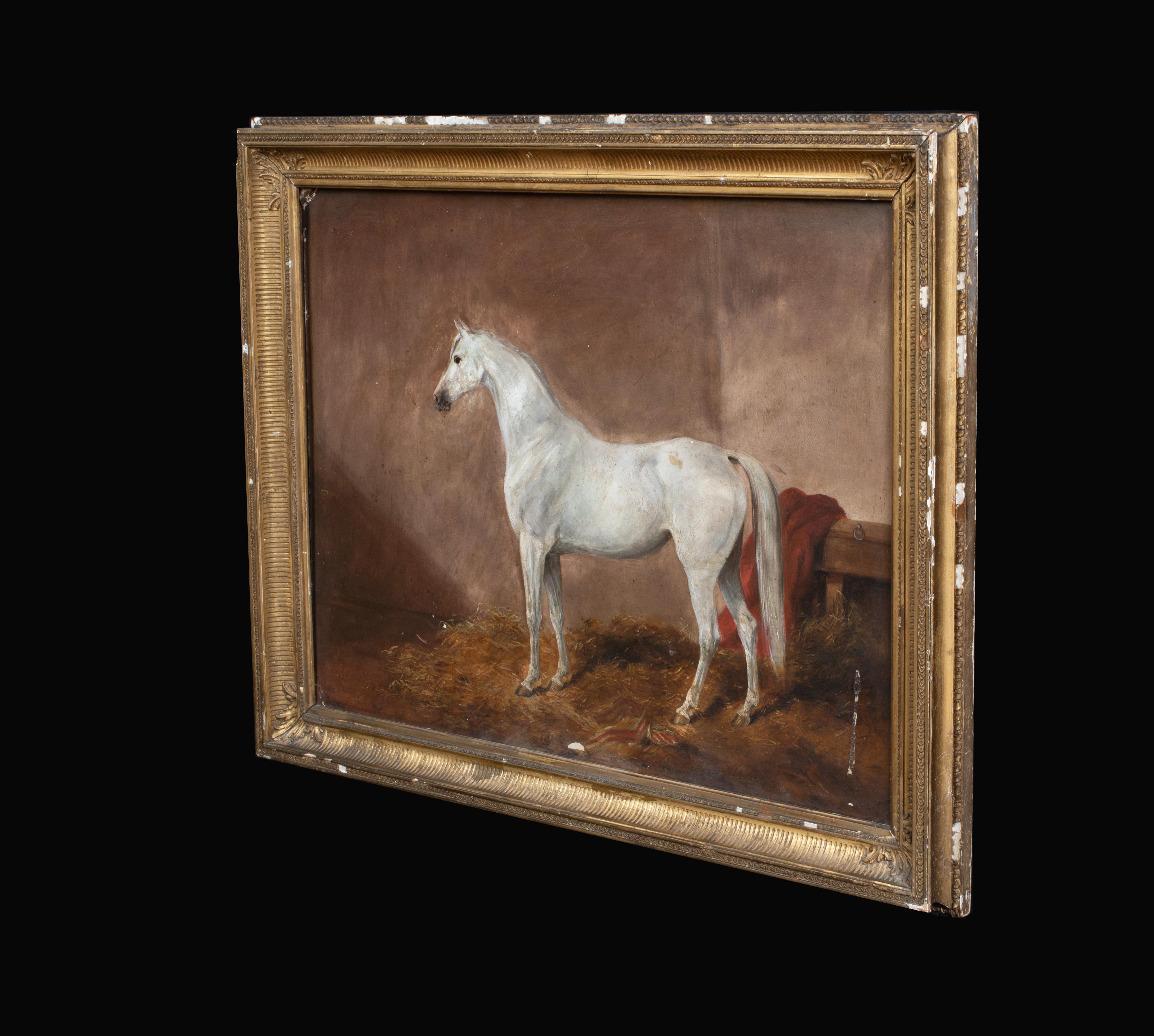 Portrait d'un cheval blanc dans une boîte, 19ème siècle

École d'anglais

portrait de l'école anglaise du XIXe siècle représentant un cheval blanc dans une boîte, huile sur carton. Excellente qualité par un peintre équestre accompli vers 1860.