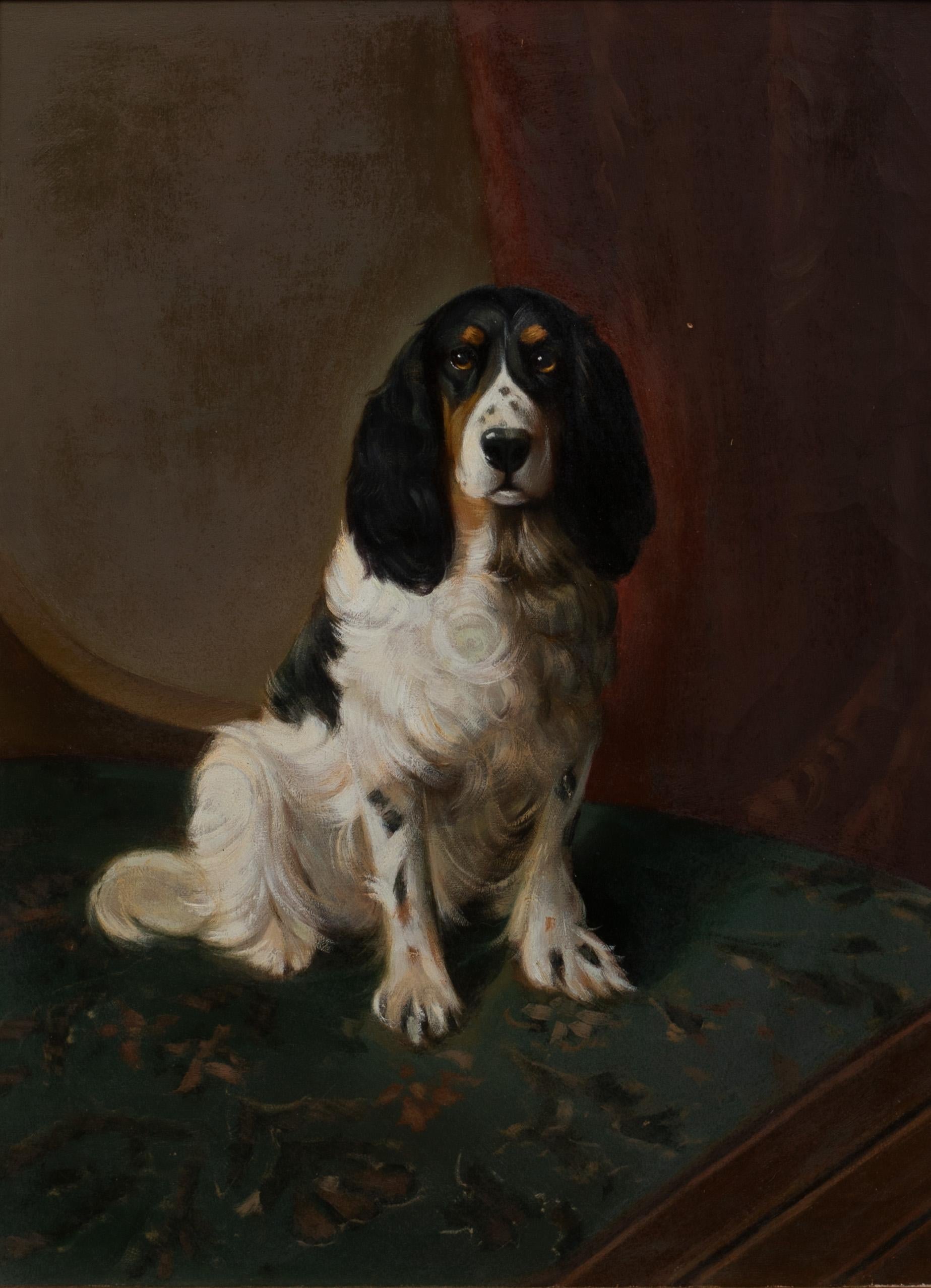 Portrait Of An English Springer Spaniel, circa 1900   - Painting by Unknown