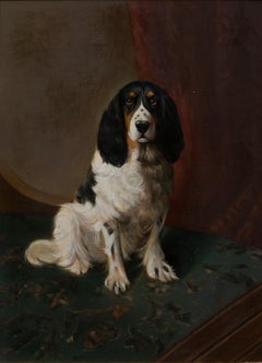 Portrait Of An English Springer Spaniel, circa 1900