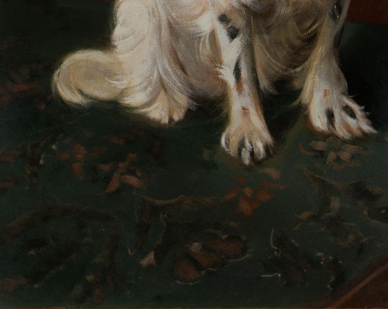 Portrait Of An English Springer Spaniel, circa 1900   - Black Portrait Painting by Unknown