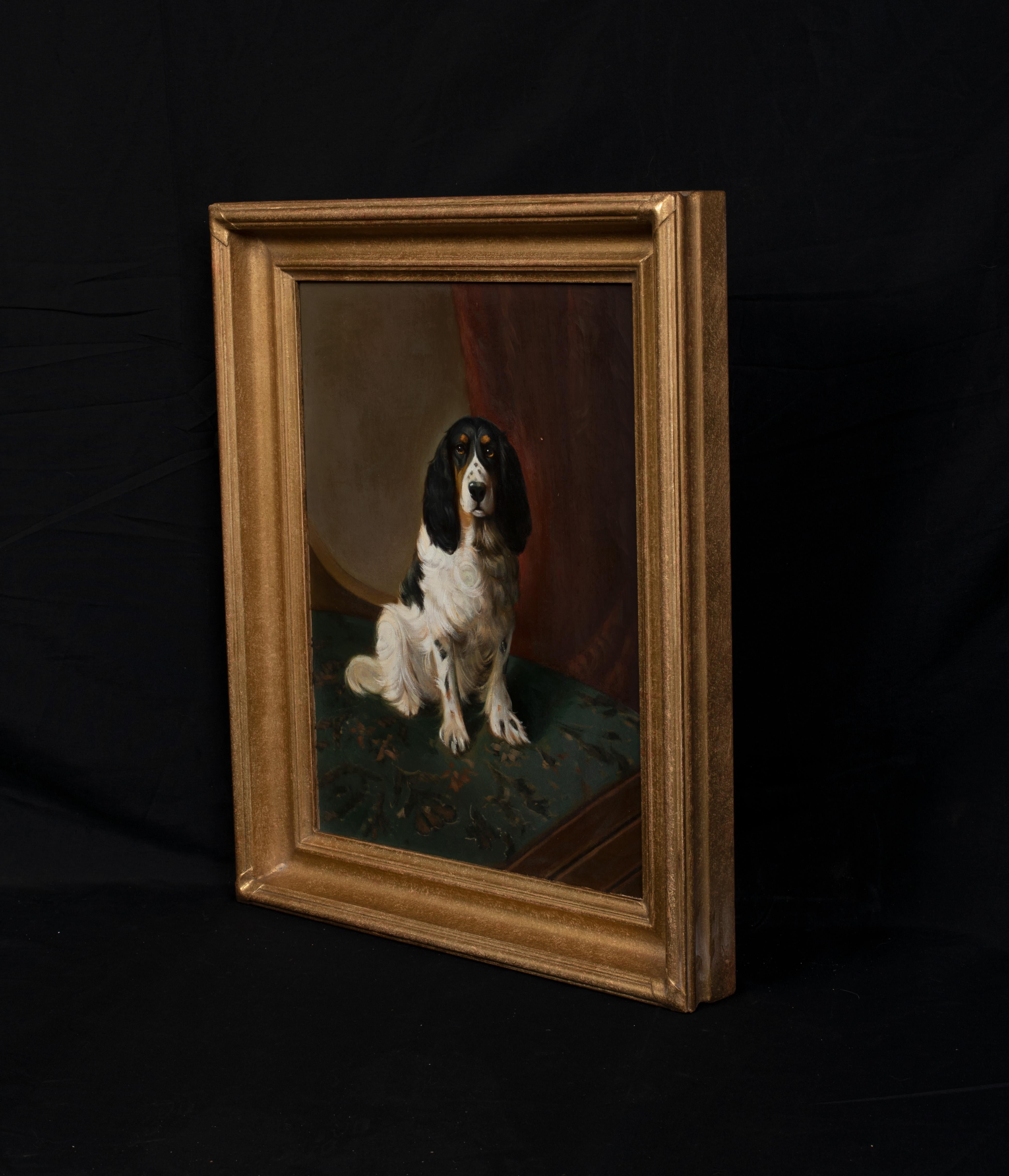 Portrait Of An English Springer Spaniel, circa 1900   1