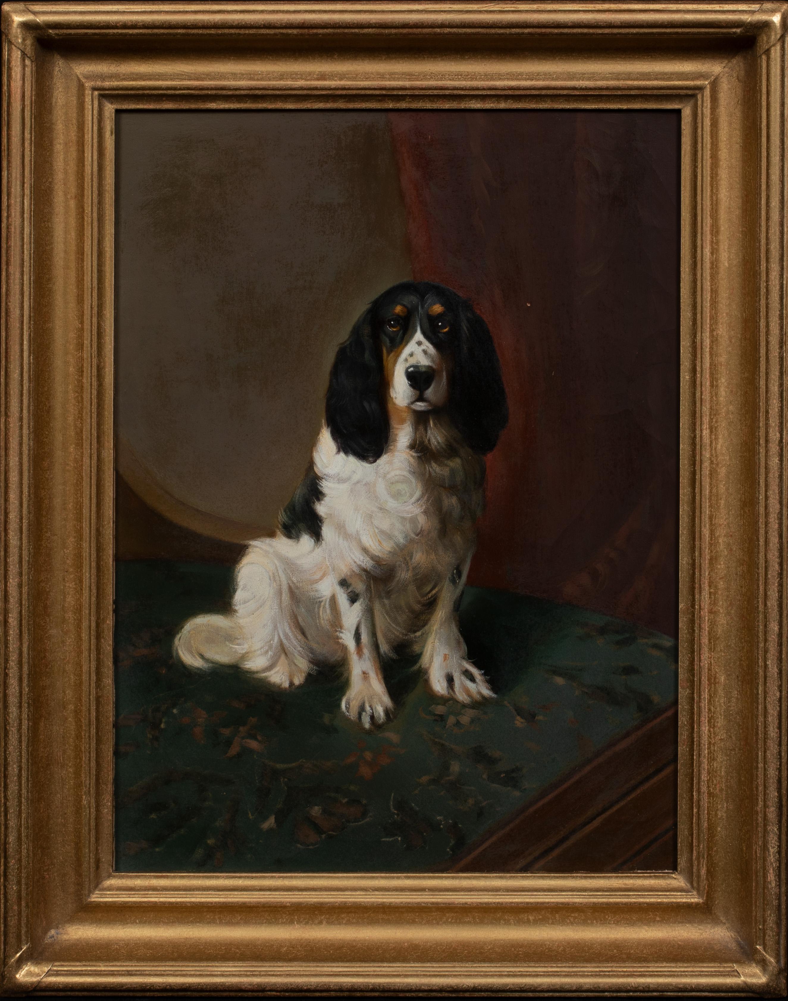 Unknown Portrait Painting - Portrait Of An English Springer Spaniel, circa 1900  