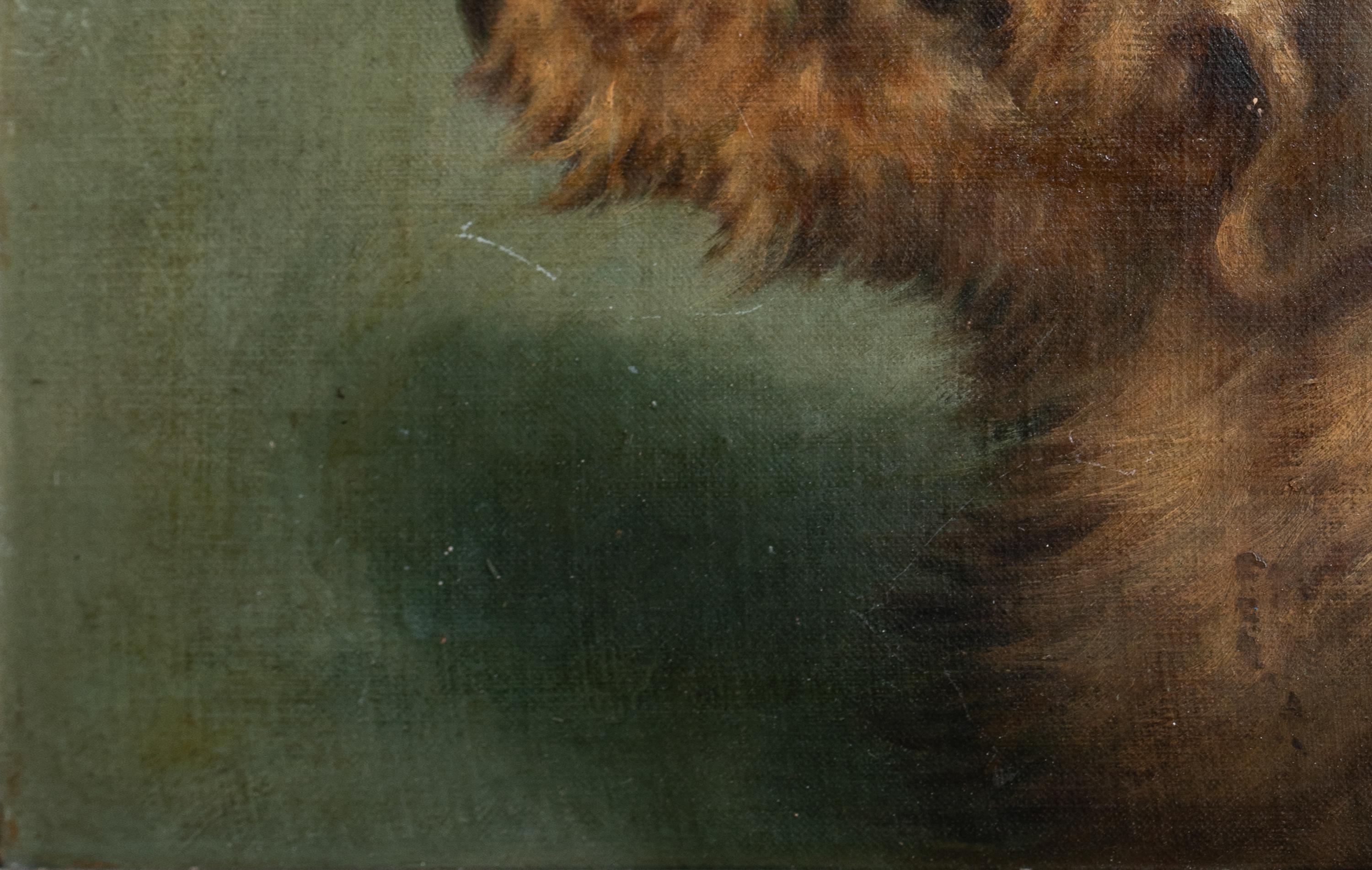 Portrait Of An Irish Terrier, 19th Century  signed top right 