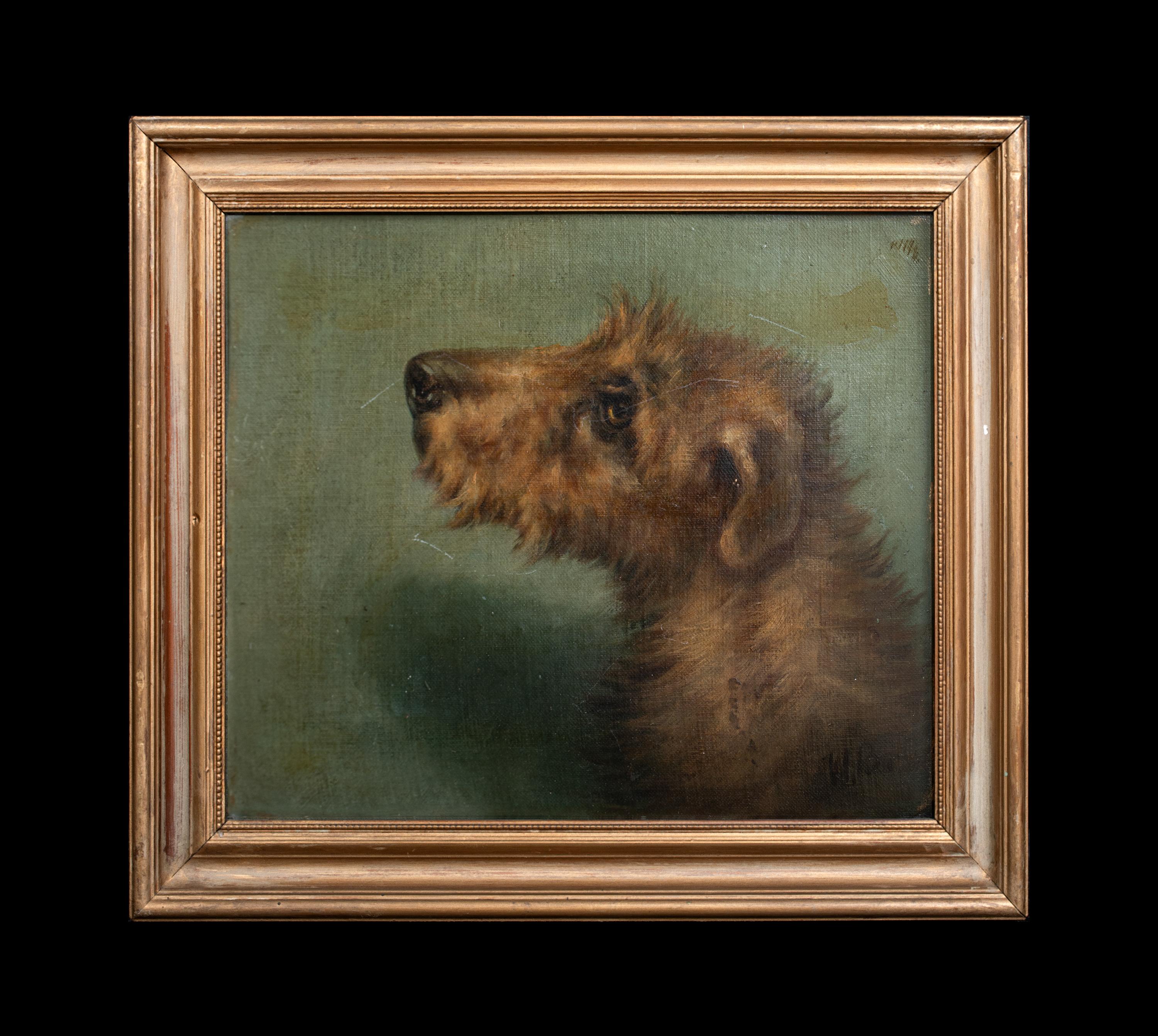 Porträt eines irischen Terriers, 19. Jahrhundert  Signiert oben rechts „EMMS“  CIRCA 1900  – Painting von Unknown