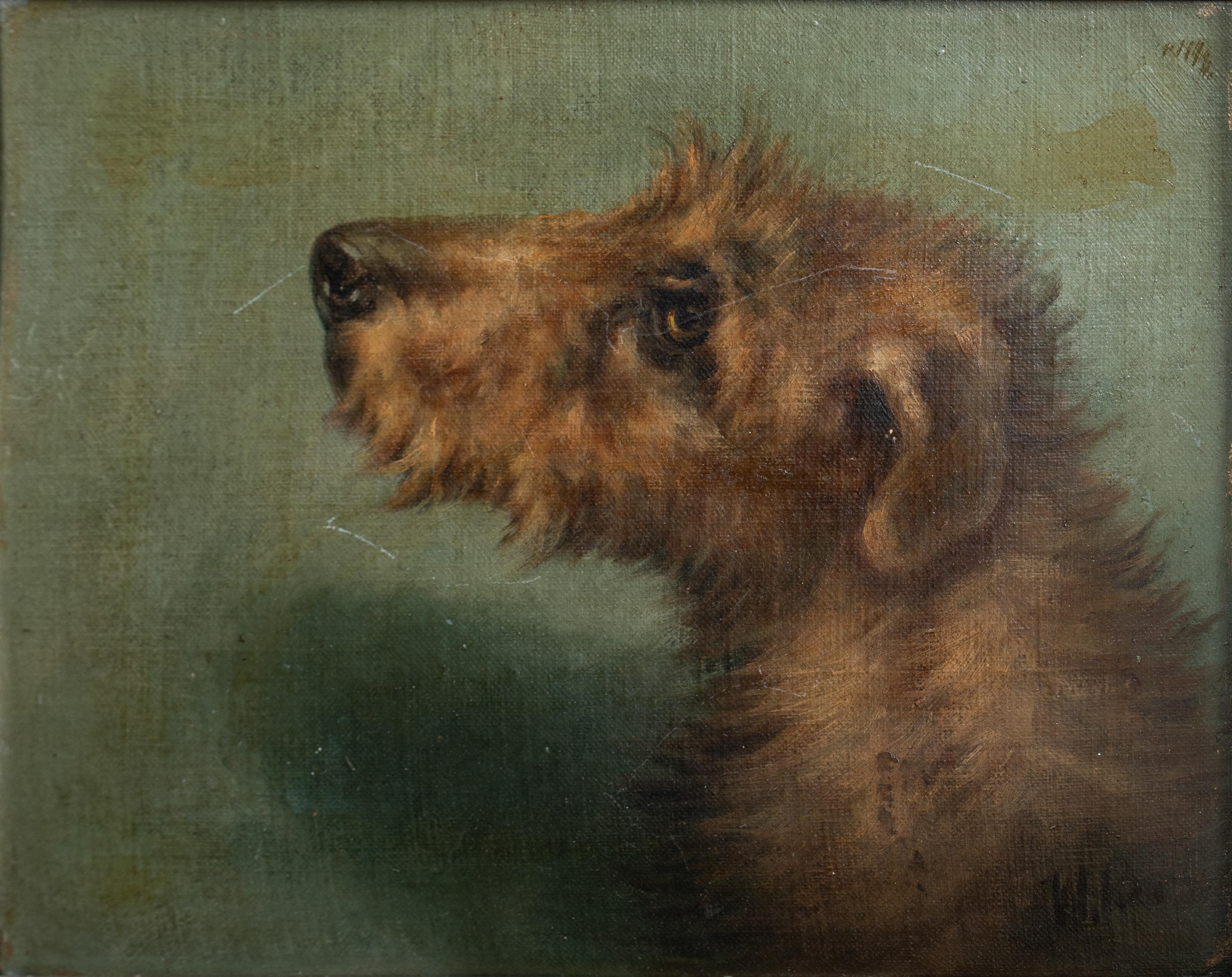 Portrait d'un terrier irlandais, 19e siècle

Signé en haut à droite « EMMS »

Circa 1900 Portrait anglais de la tête d'un chien terrier irlandais, huile sur panneau, signé 
