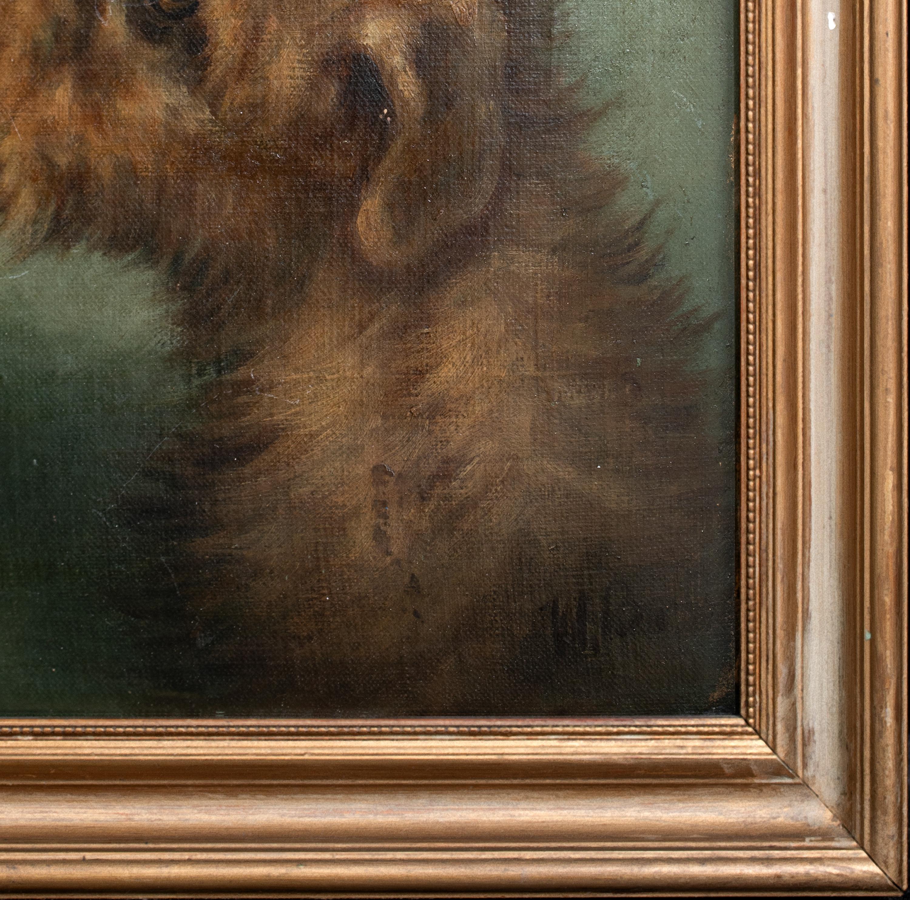 Porträt eines irischen Terriers, 19. Jahrhundert  Signiert oben rechts „EMMS“  CIRCA 1900  im Angebot 1
