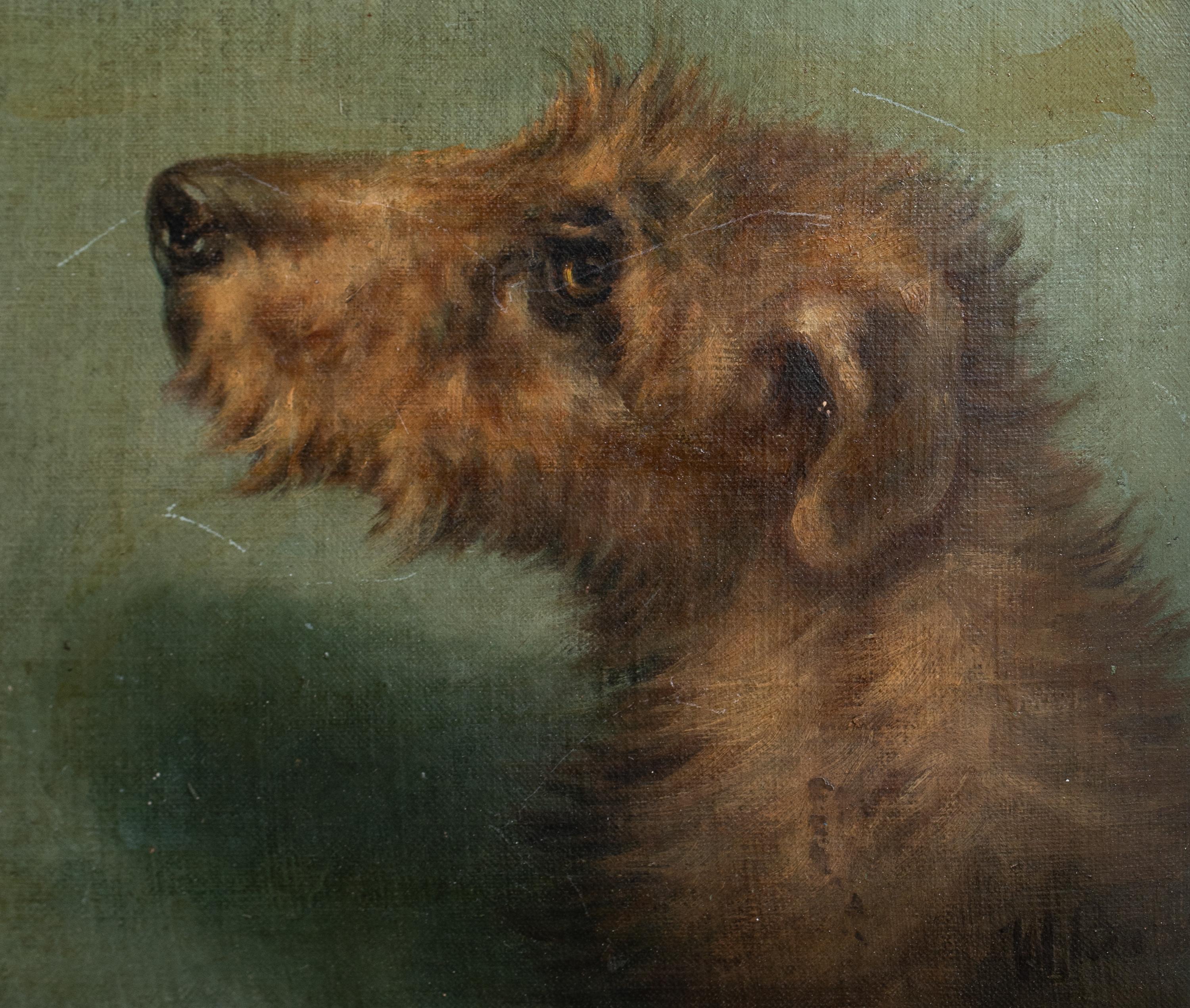 Porträt eines irischen Terriers, 19. Jahrhundert  Signiert oben rechts „EMMS“  CIRCA 1900  im Angebot 2