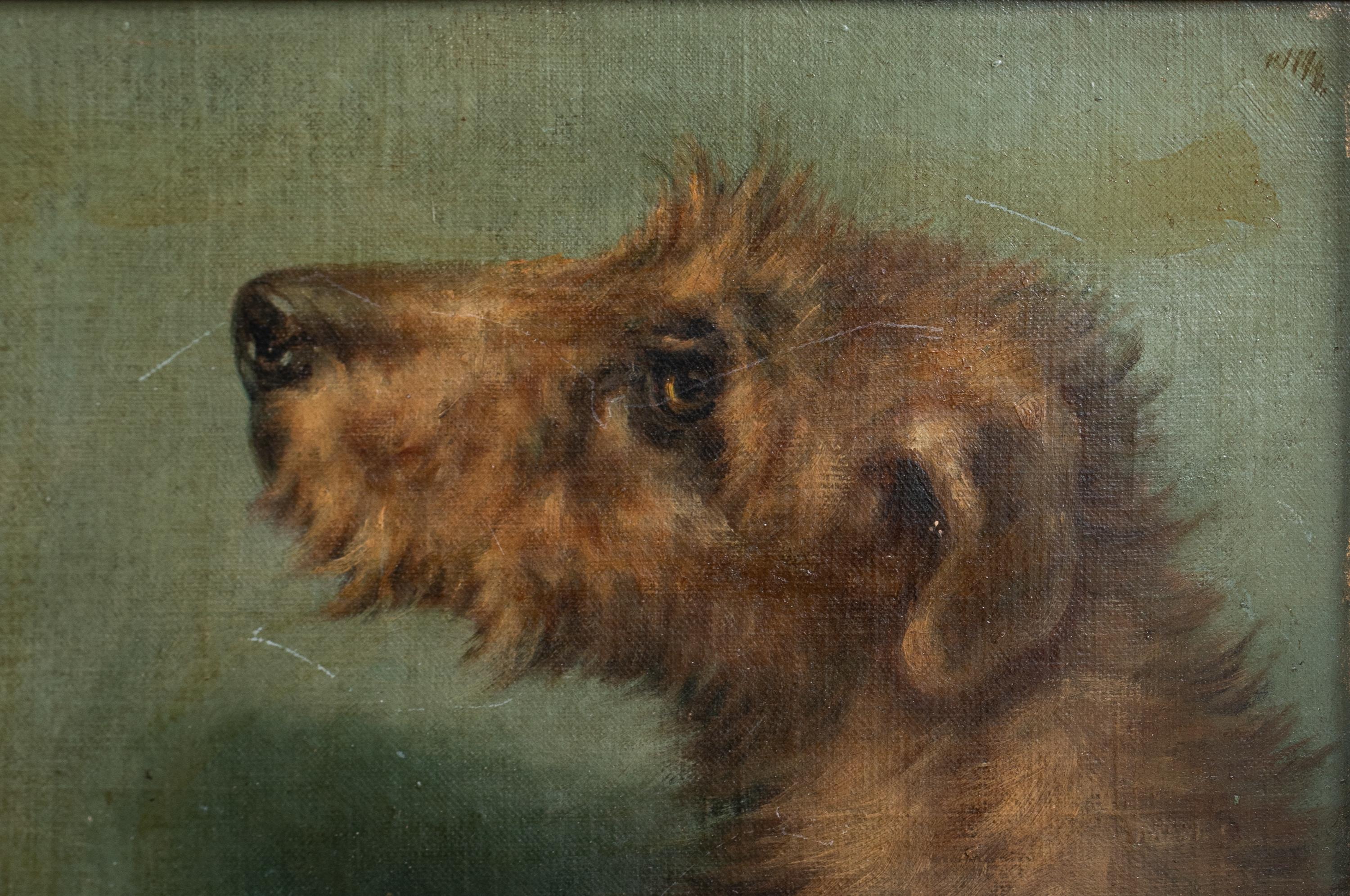Porträt eines irischen Terriers, 19. Jahrhundert  Signiert oben rechts „EMMS“  CIRCA 1900  im Angebot 3