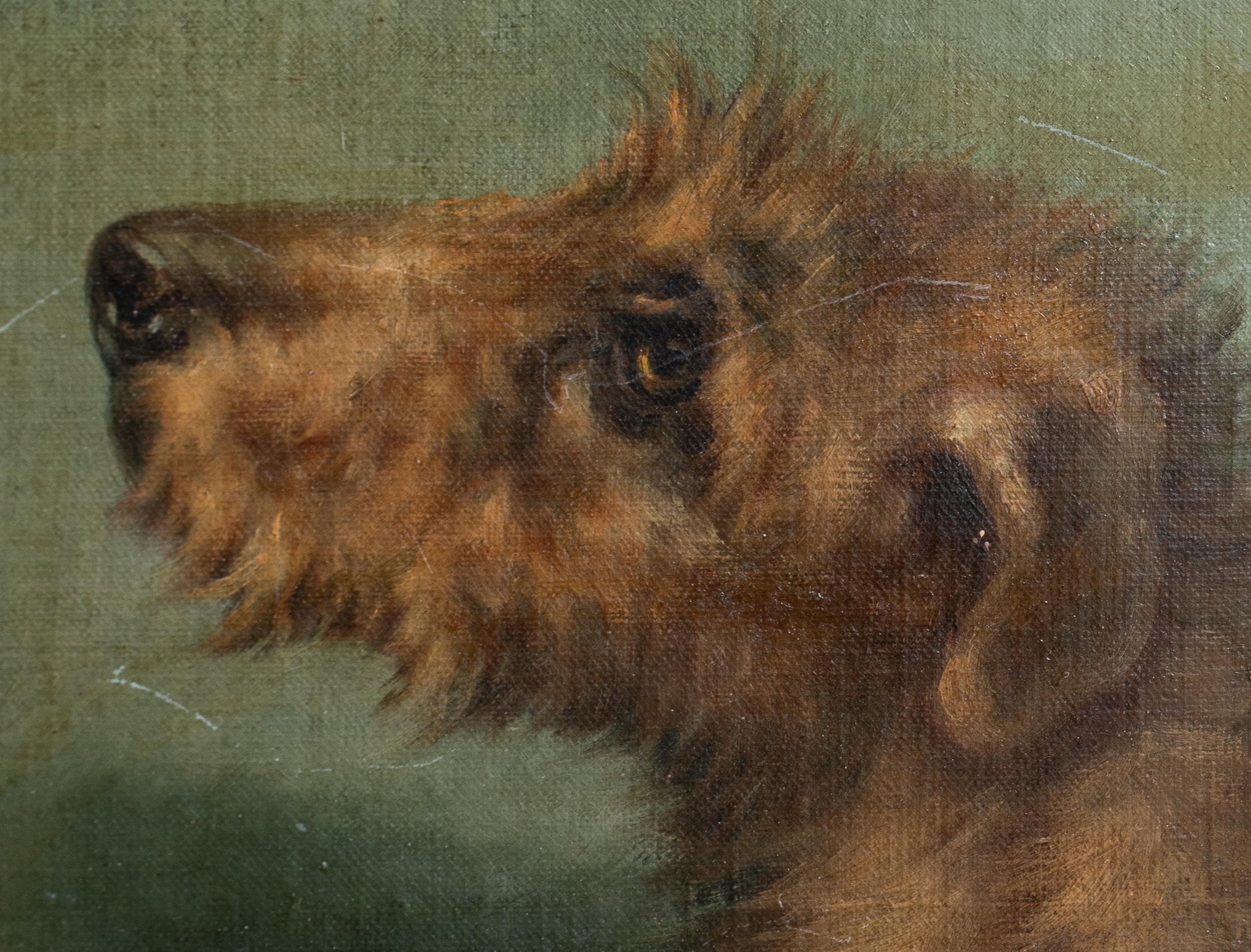 Portrait Of An Irish Terrier, 19th Century  signed top right 