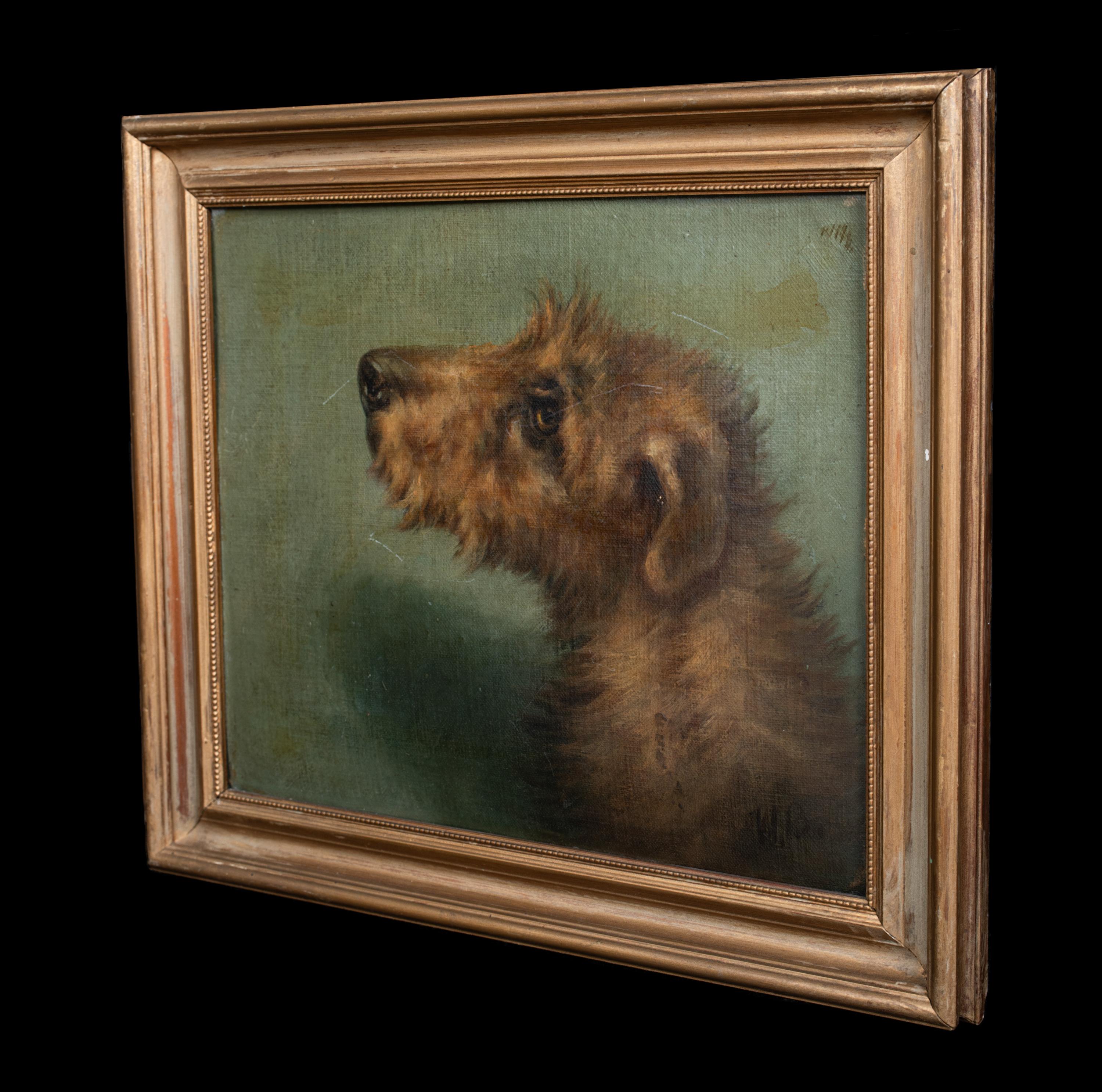 Portrait d'un terrier irlandais, 19e siècle  Signé en haut à droite « EMMS »  Circa 1900  en vente 5