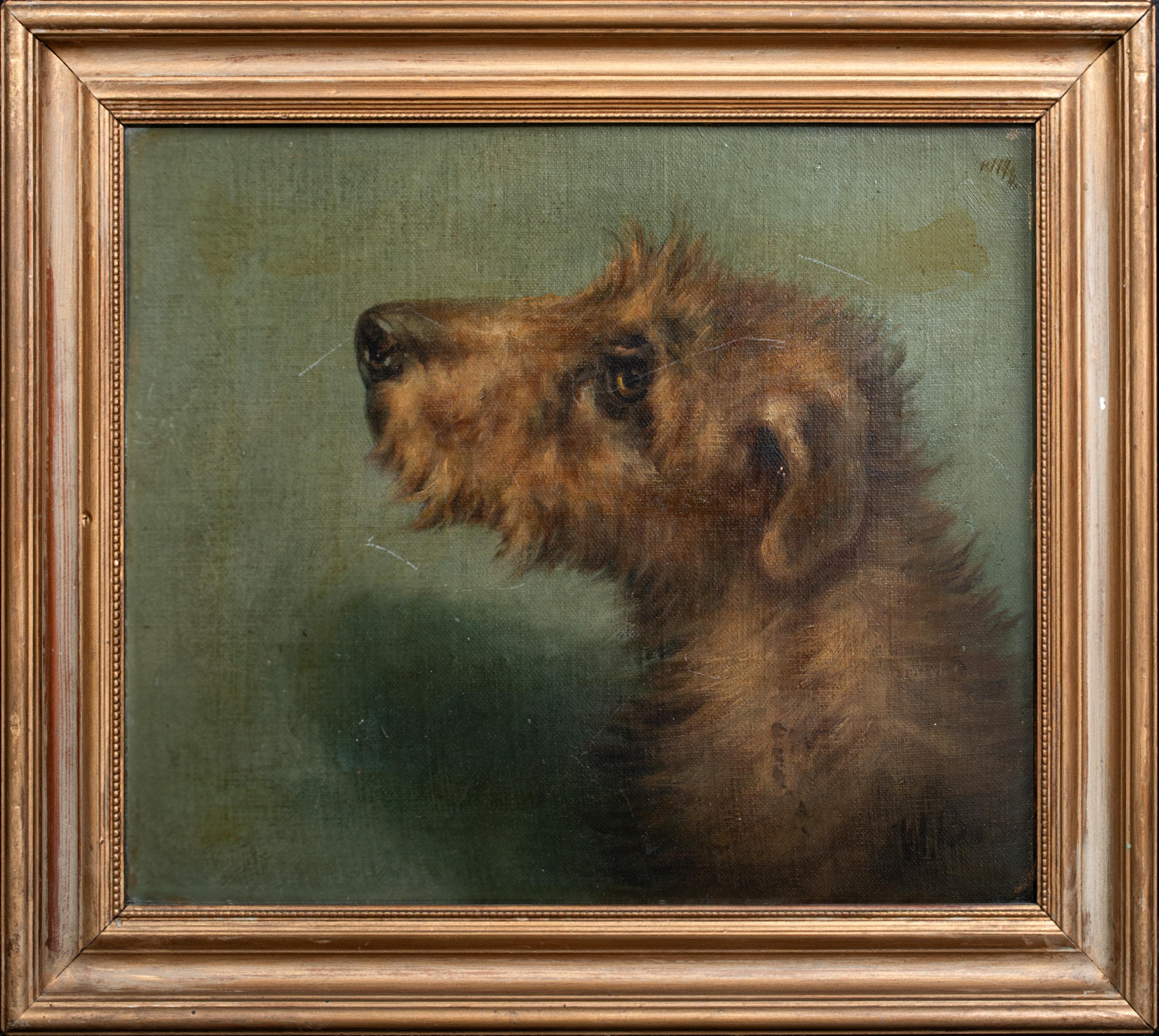 Unknown Animal Painting – Porträt eines irischen Terriers, 19. Jahrhundert  Signiert oben rechts „EMMS“  CIRCA 1900 