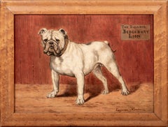 Porträt des "Bedgebury Lion", einer englischen Standard-Bulldogge, 19.