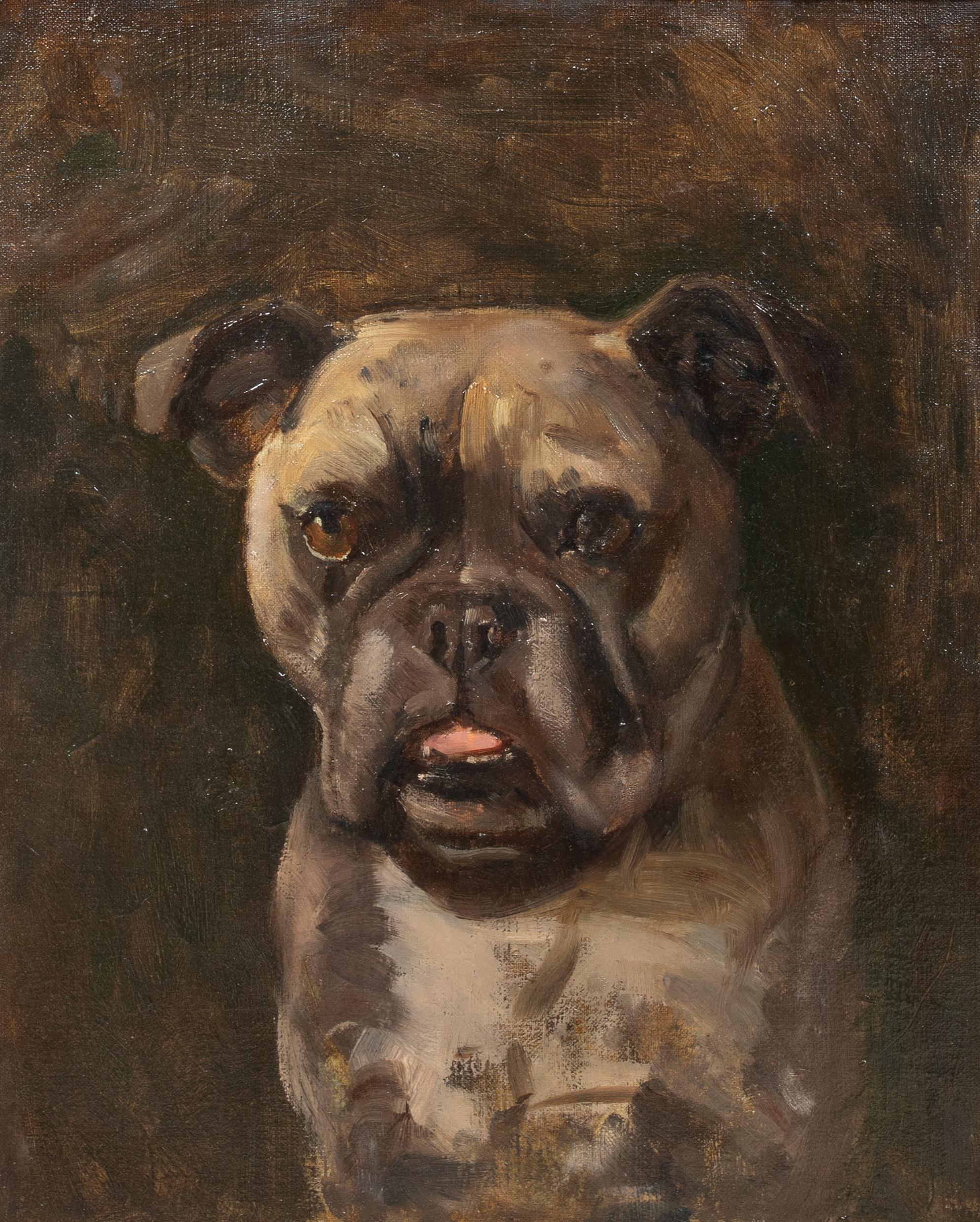 Portrait Of Bruno, circa 1900

English School

19th Century English School portrait of Bruno a Pitbull / Bulldog, oil on board. Good quality and condition turn of the century study of the dog, probably a prize winning dog used for sporting or