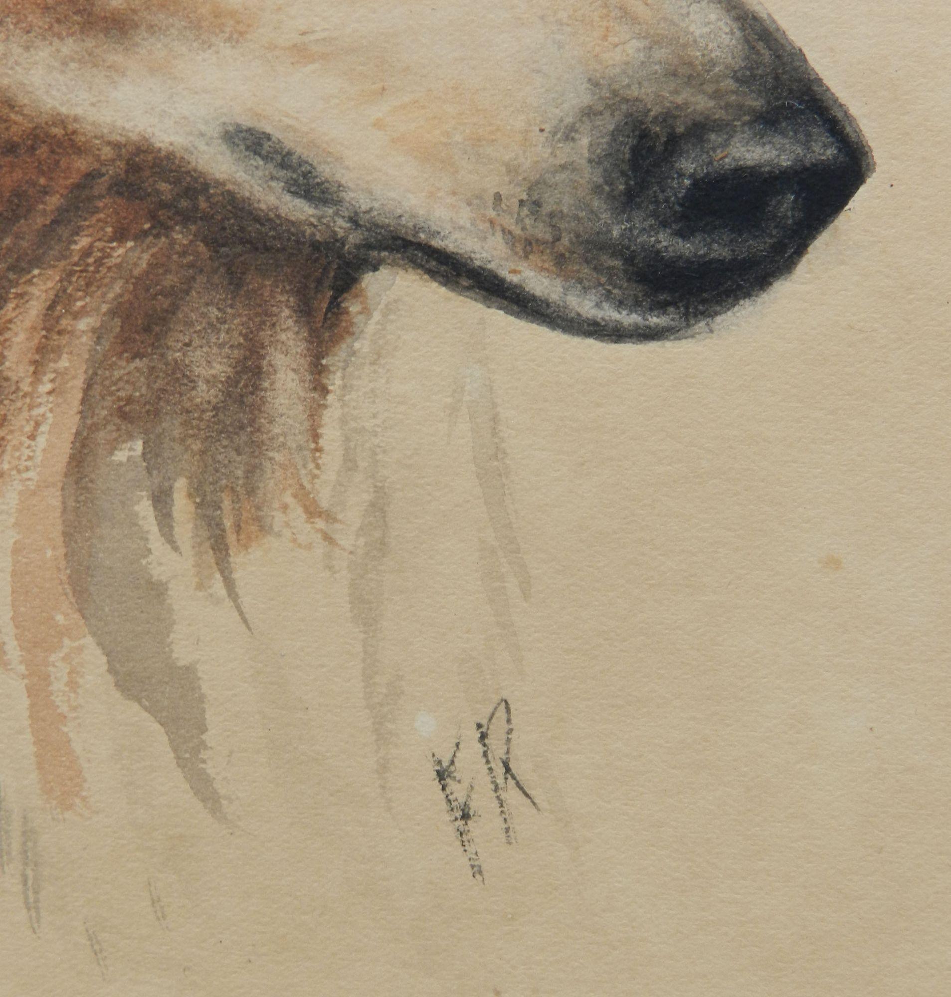 Portrait of Collie Dogs Head by Frederick Roe 1864-1947 Royal Academy Watercolor - Painting by Unknown