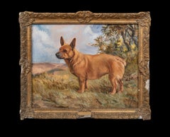 Portrait Of Corvette, A Corgi, 19th Century by K Harris (English 19th Century)
