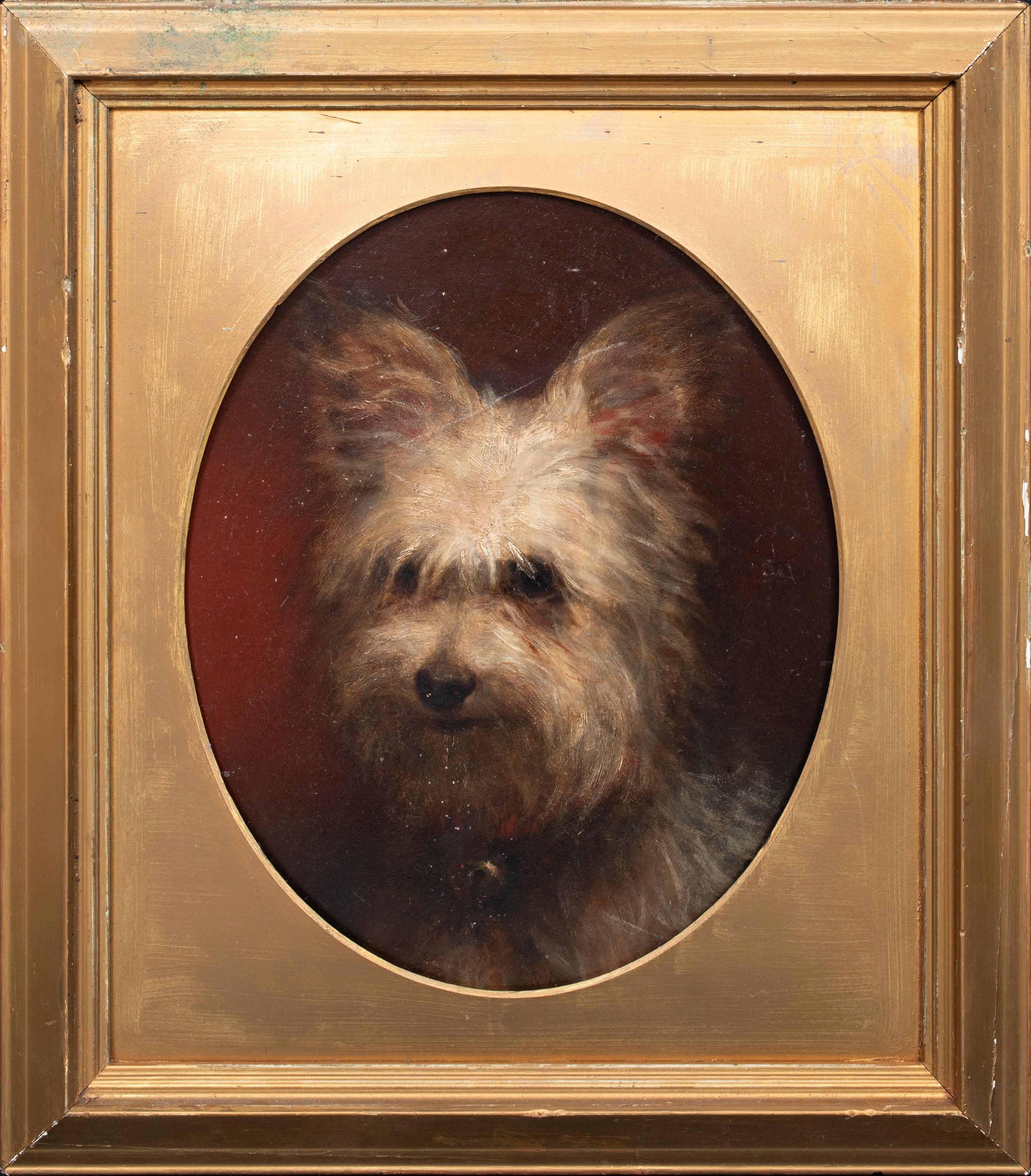 Unknown Animal Painting - Portrait Of "Dante" A Yorkshire Terrier, 19th Century   English School