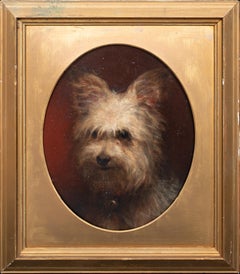 Portrait de "Dante", un Yorkshire Terrier, 19e siècle   École anglaise