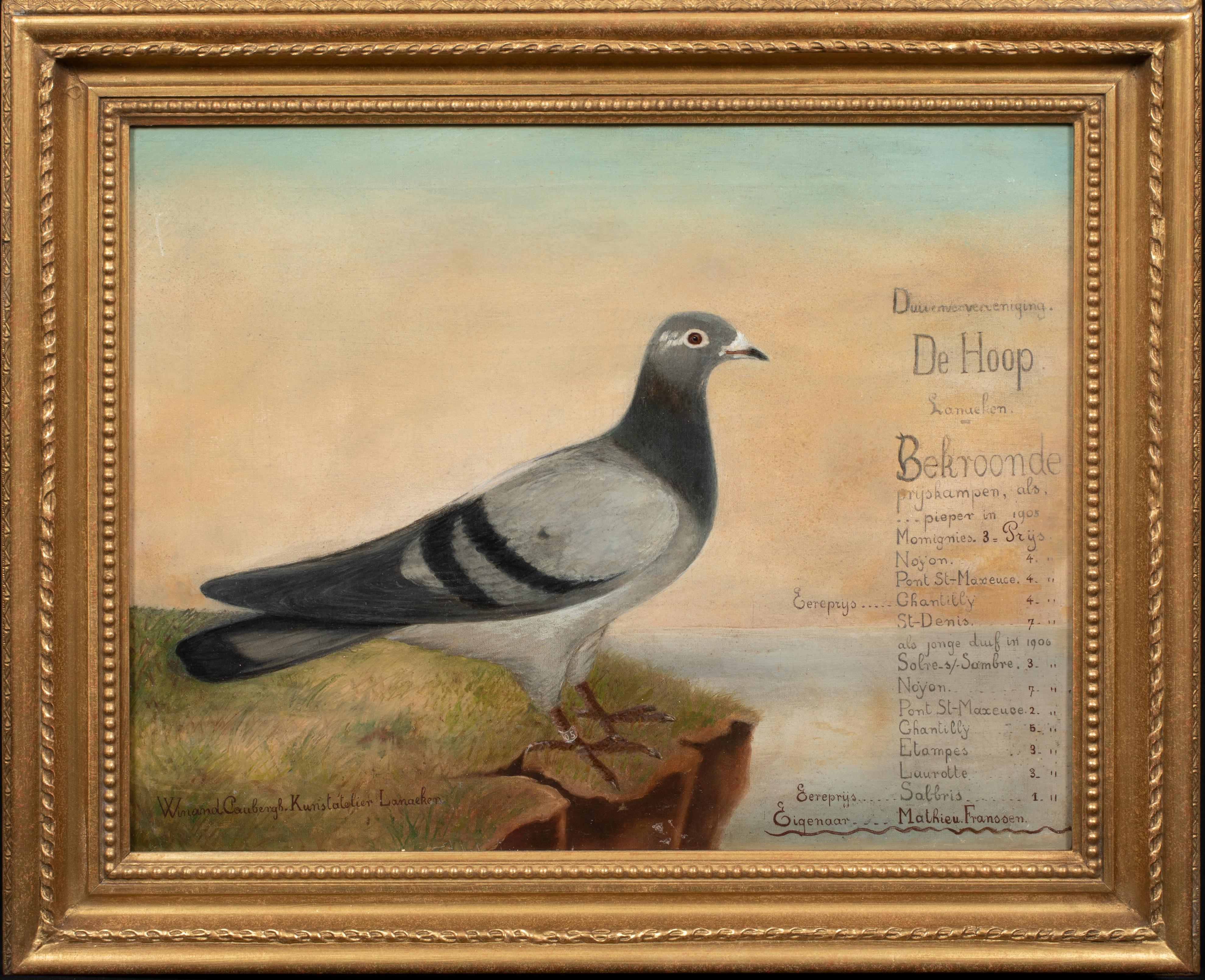 Unknown Animal Painting - Portrait Of "De Hoop" A Champion Racing Pigeon, circa 1900