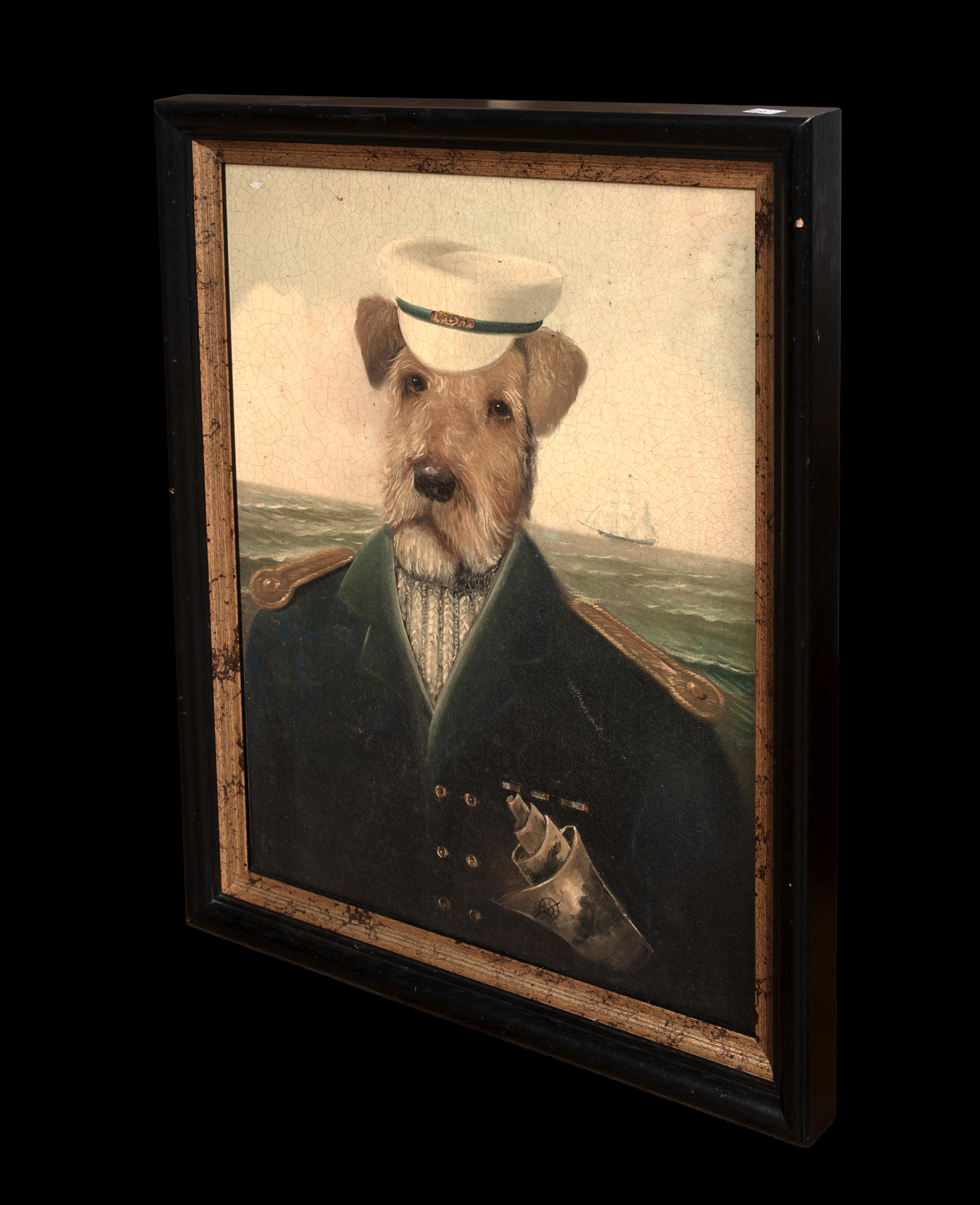 Ritratto di Fox Terrier come capitano di mare, inizio 20° secolo 4