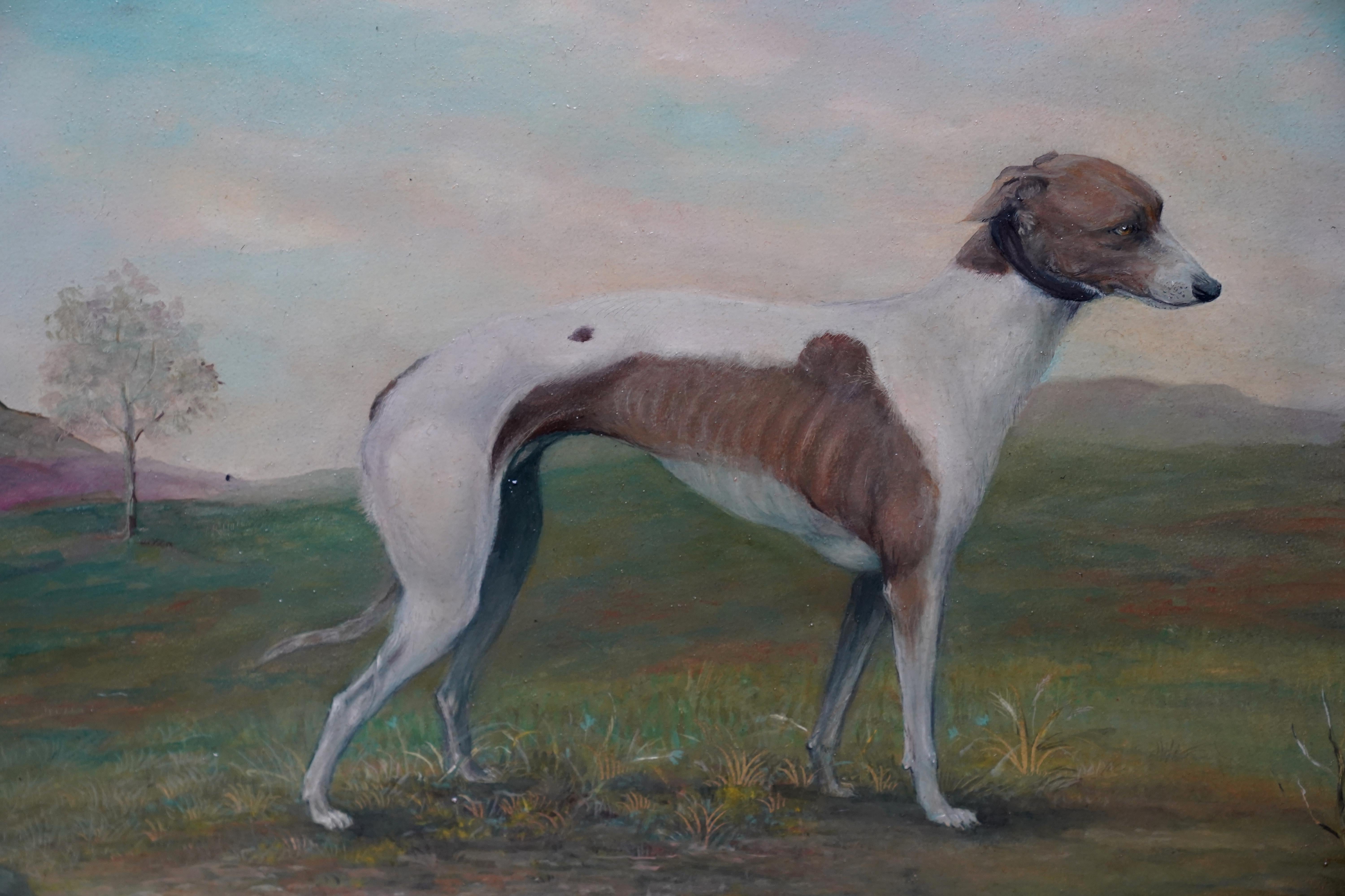 Porträt eines italienischen Windhundes aus Midfield Role – Ölgemälde eines britischen Sporthundes (Realismus), Painting, von Unknown
