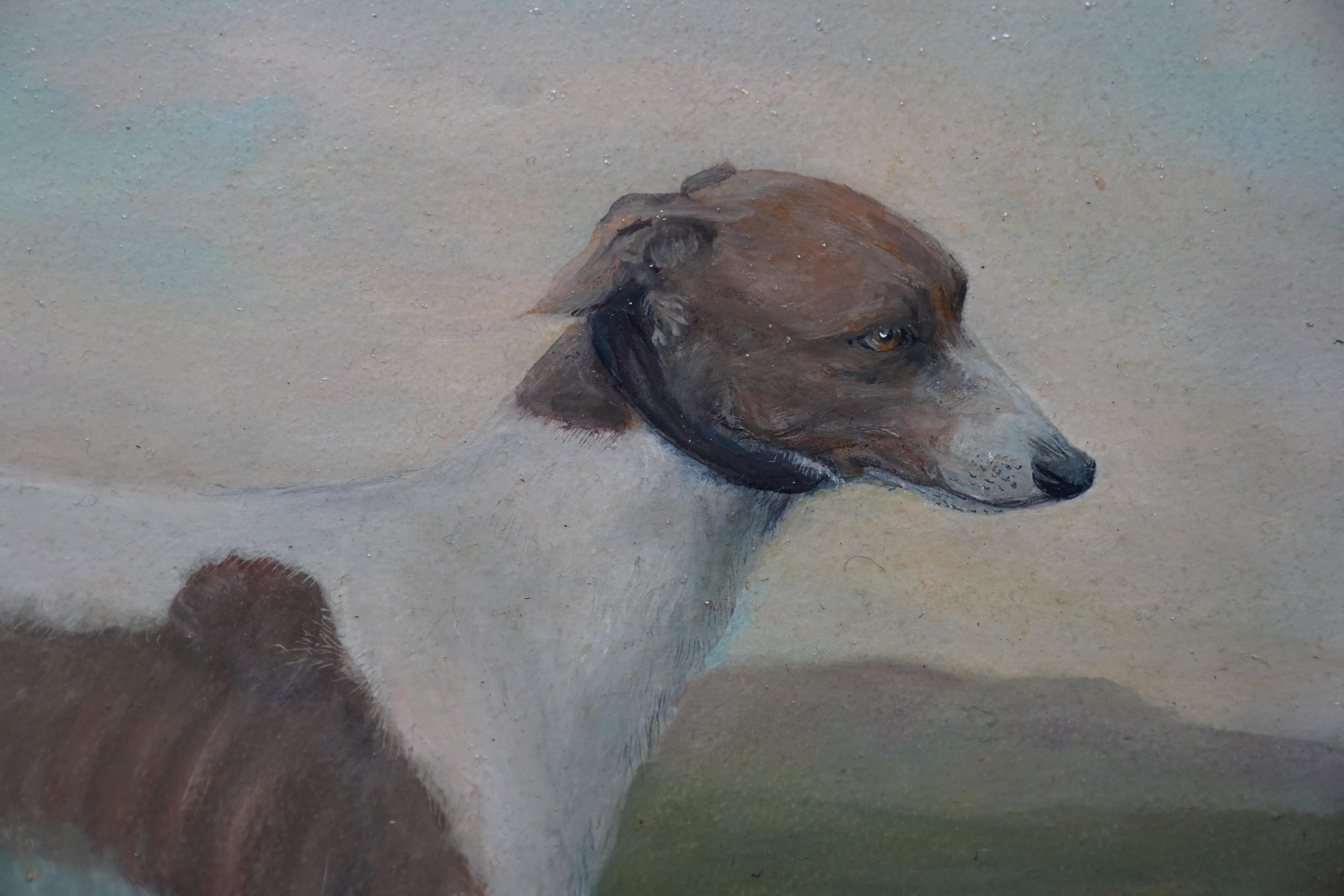 Dieses schöne Ölgemälde mit einem Hundeporträt wird einem Künstler der Englischen Schule zugeschrieben. Es handelt sich um ein Porträtgemälde in Öl auf Karton und zeigt einen braun-weißen italienischen Windhund mit schwarzem Halsband namens Midfield