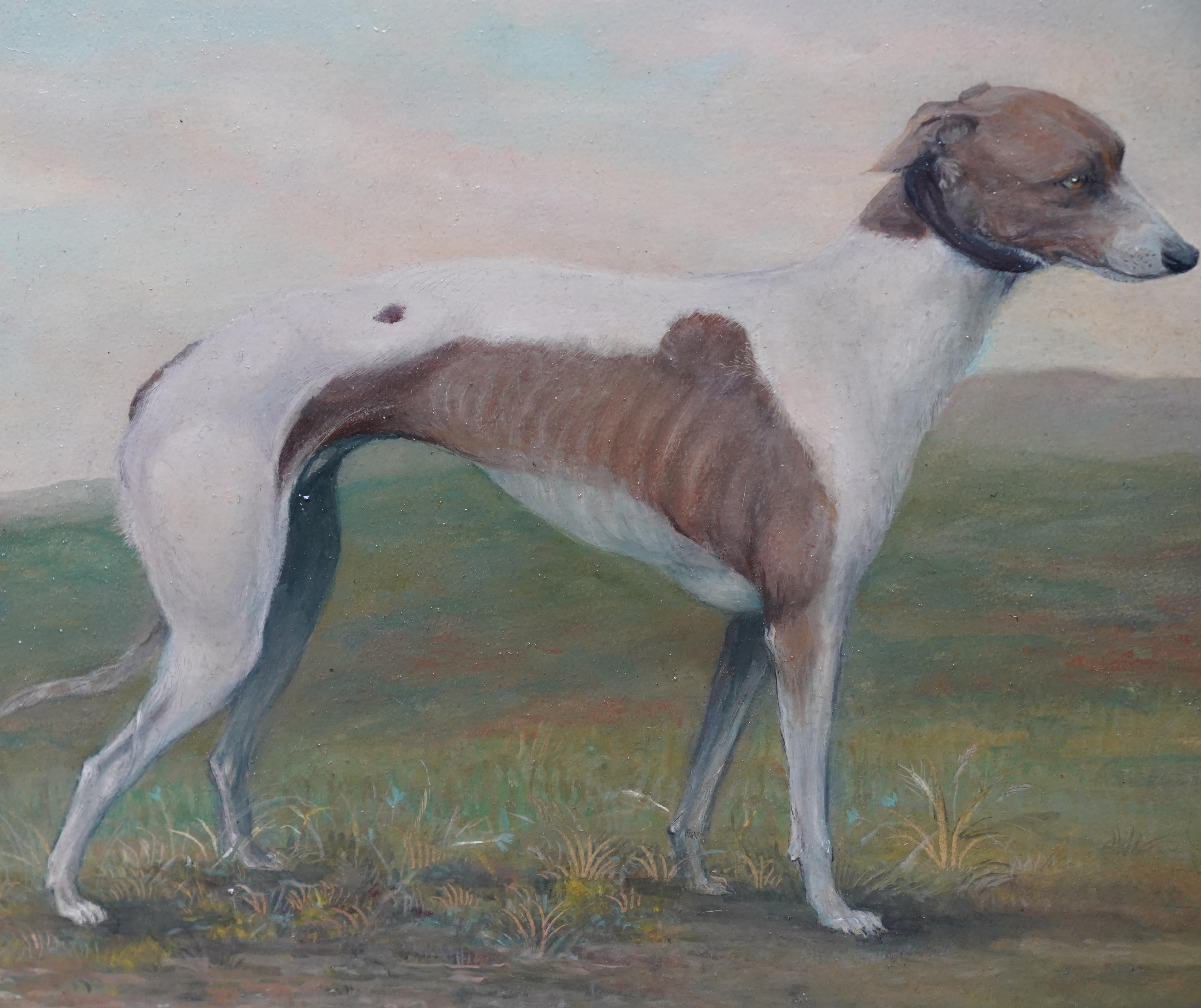 Porträt eines italienischen Windhundes aus Midfield Role – Ölgemälde eines britischen Sporthundes im Angebot 1