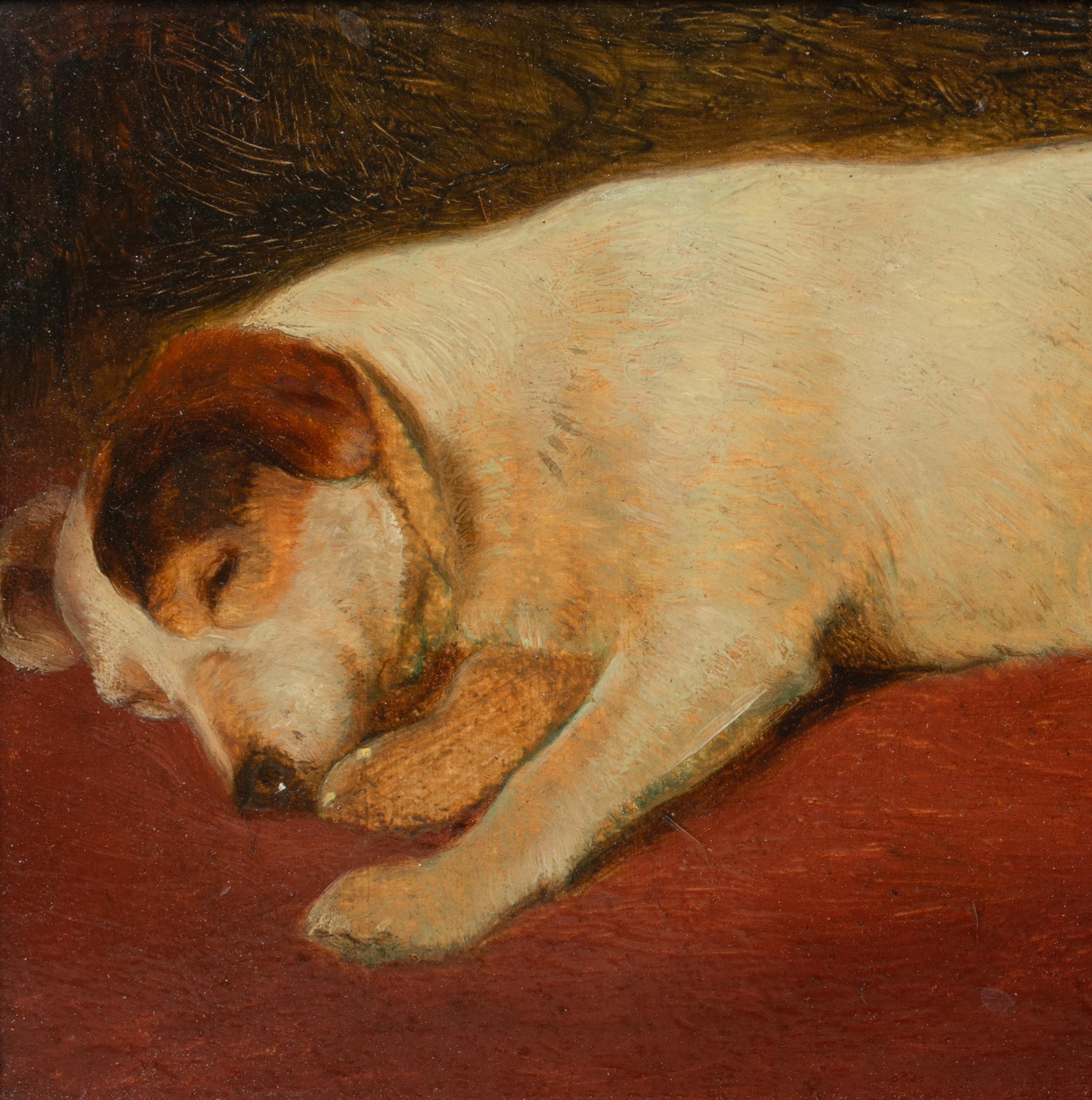Portrait de Jules A Jack Russell, 19e siècle attribué à Frederick HALL en vente 5