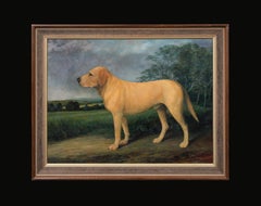 Portrait Of "Major" A Labrador Retriever In A Landscape, 20th Century