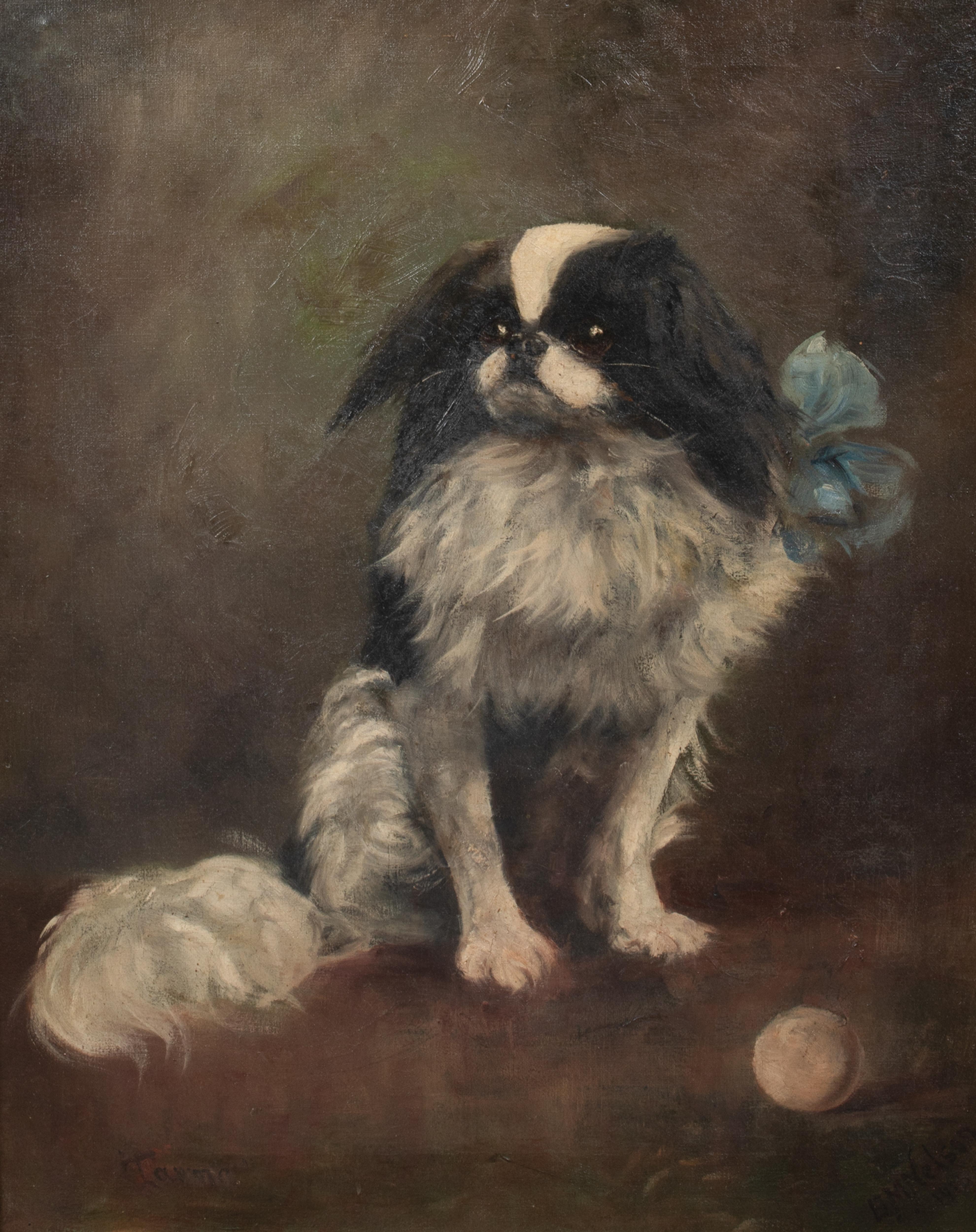 Retrato de 