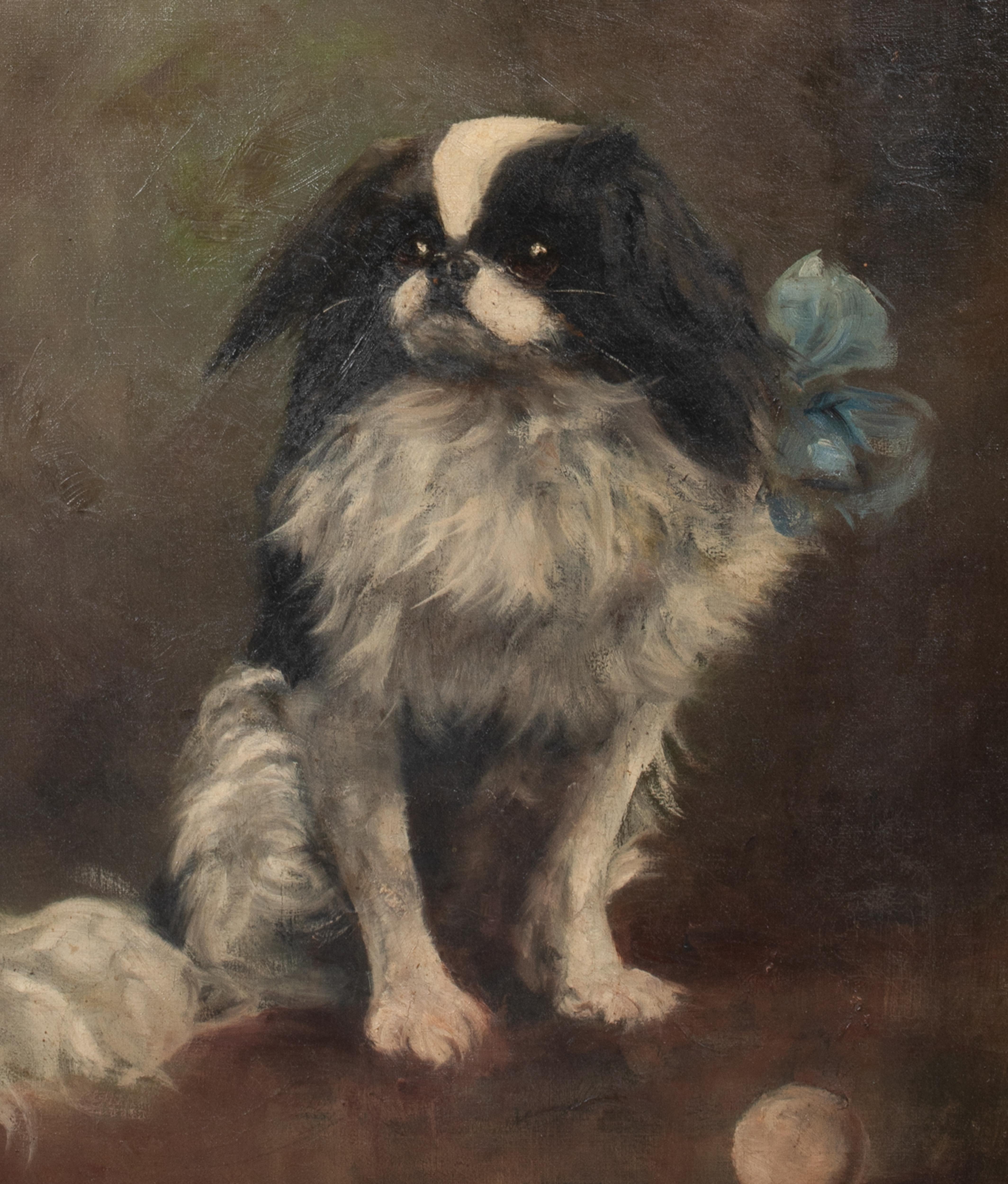 Retrato de 